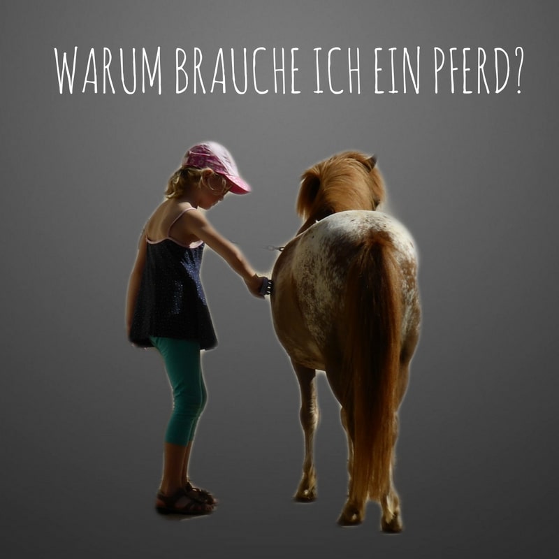 WARUM BRAUCHE ICH EIN PFERD??Glück?