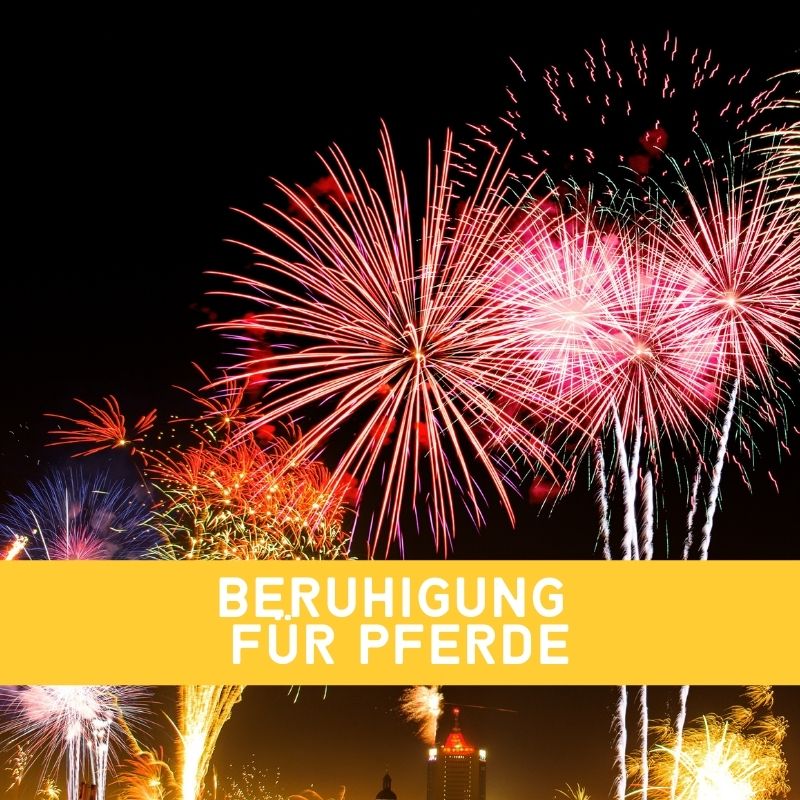 Beruhigung für Pferde - Sylvester Feuerwerk