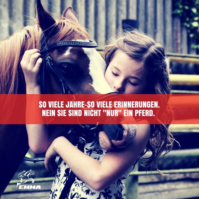 DAS ALTE PFERD-WEGWERFARTIKEL?