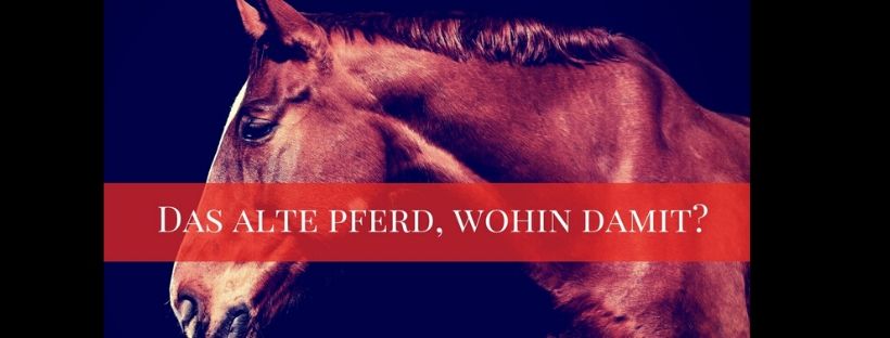 Das alte Pferd! Bis das der Tod uns scheidet?