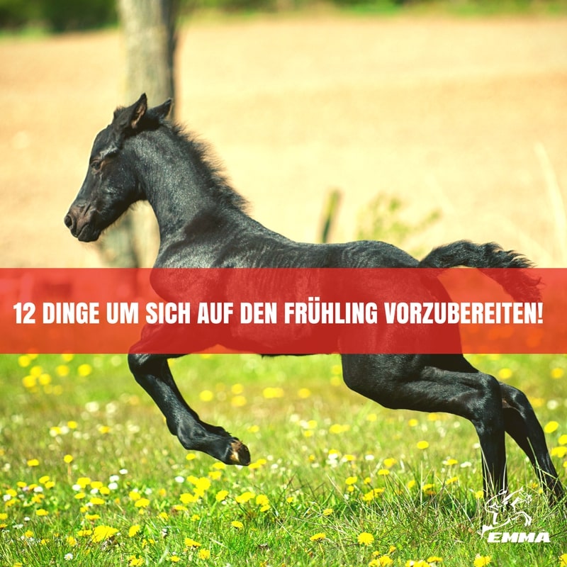 12 Dinge, die Pferdebesitzer jetzt tun sollten, um sich auf den Frühling vorzubereiten