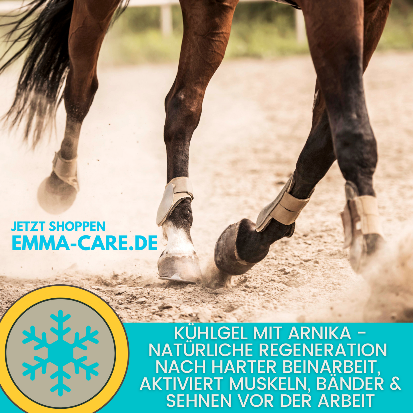 Pferdebalsam wärmend & kühlend,  Wärmesalbe & Kühlgel  500 ml