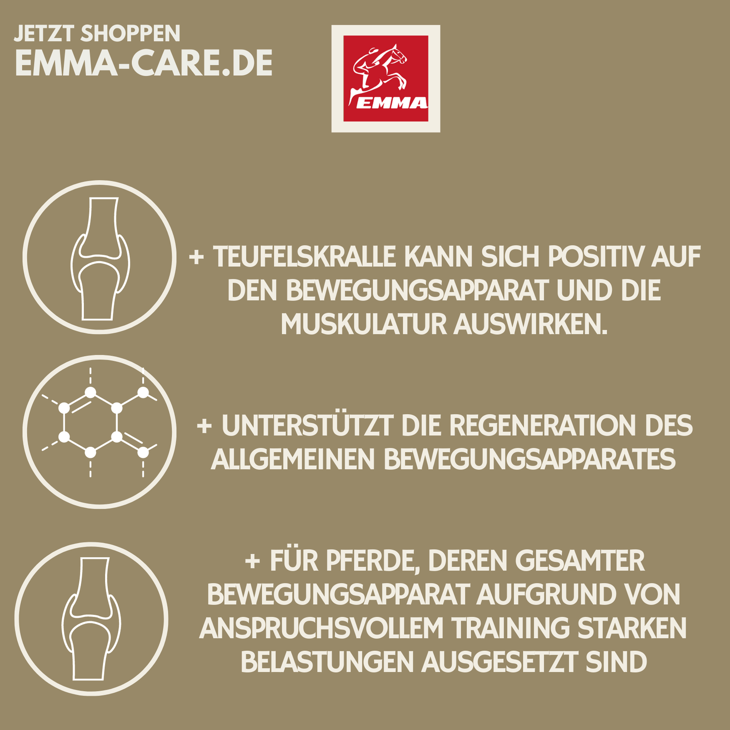 Gelenk Aktiv SPARSET – MSM + Kräuter – Beweglichkeit & Gelenke Pferd – EMMA 2x1L 30ml – zur Unterstützung von Gelenken & Bewegungsapparat – EMMA Care