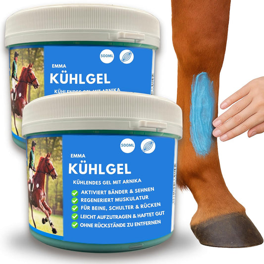 Pferdebalsam kühlend, Kühlgel mit Arnika für Pferde 2x500ml