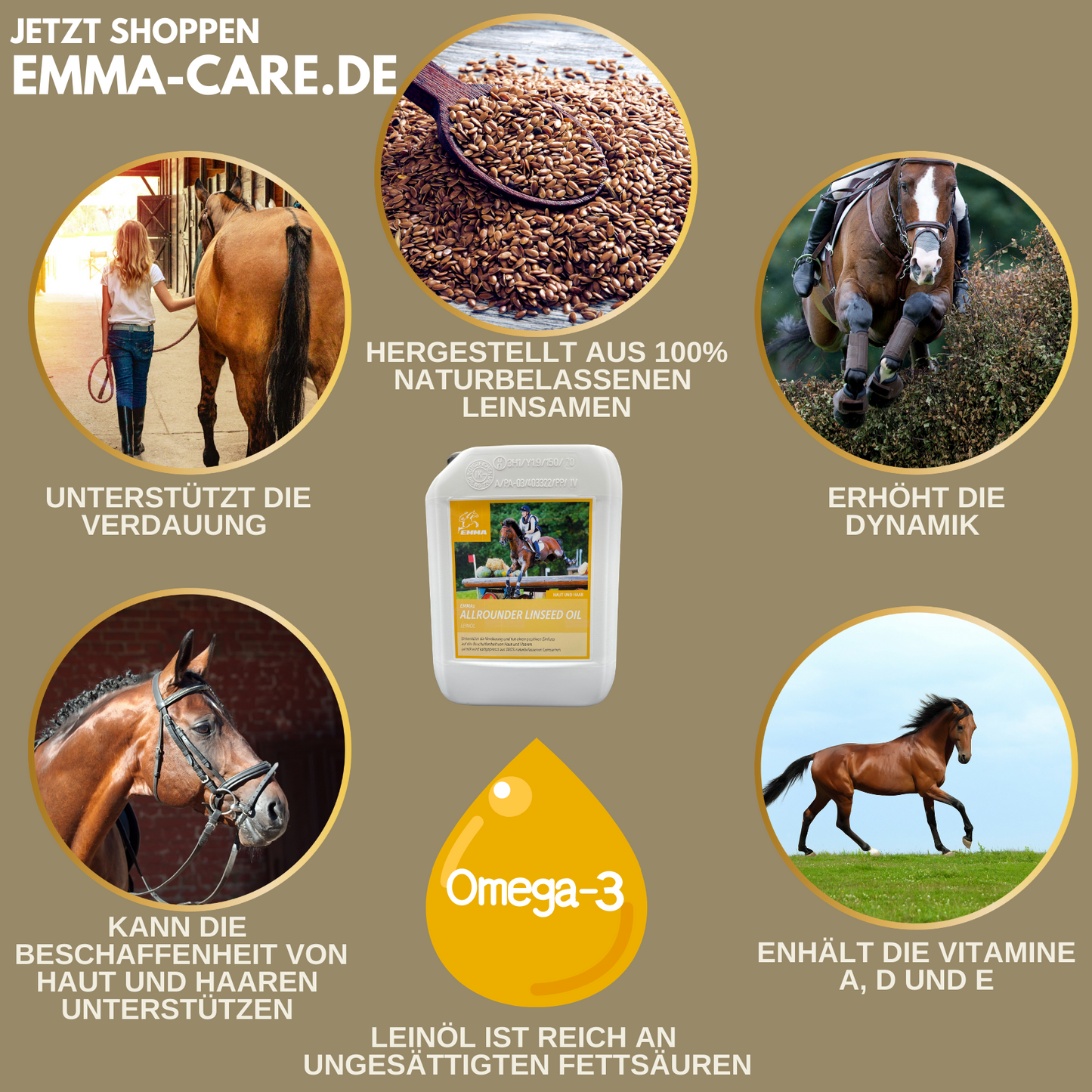 SPARPAKET, Haut & Haare, Leinöl 2,5 Liter,  Teebaumöl Shampoo, Mähnenspray 2,5 L fürs Pferd