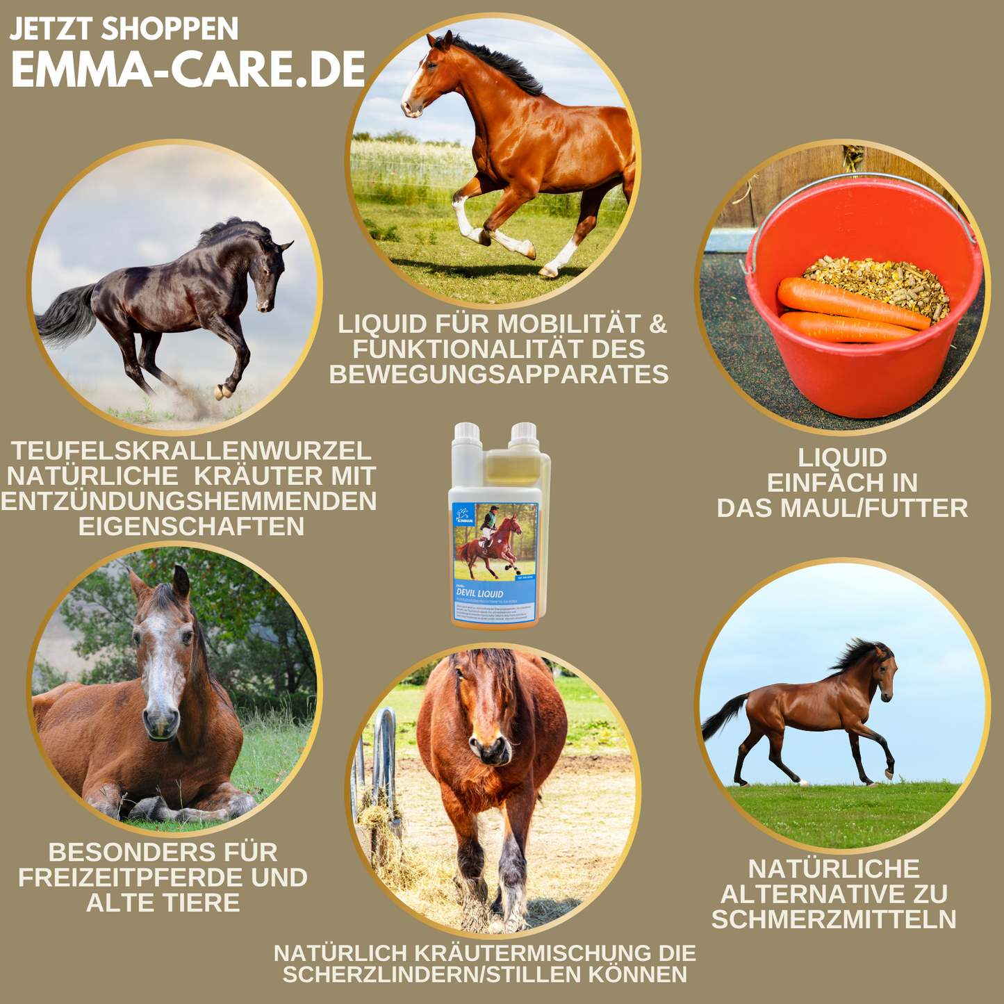 Gelenk aktiv, Ergänzungsfutter für die Gelenke vom Pferd-SPARSET