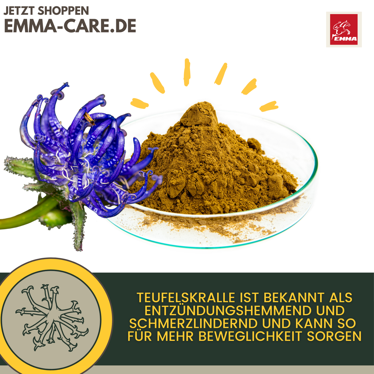 Gelenk aktiv, Ergänzungsfutter für die Gelenke vom Pferd-SPARSET