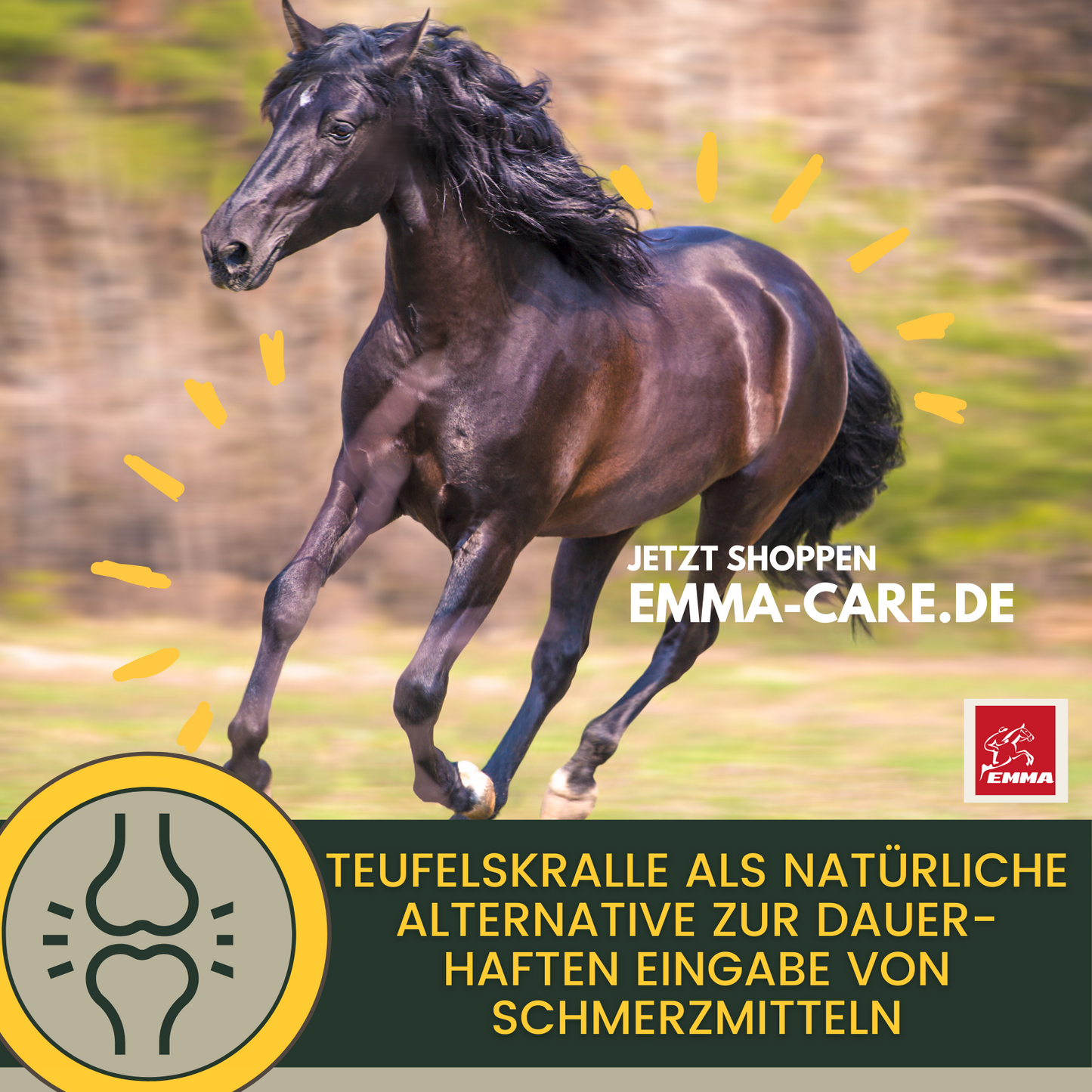 Gelenk aktiv, Ergänzungsfutter für die Gelenke vom Pferd-SPARSET