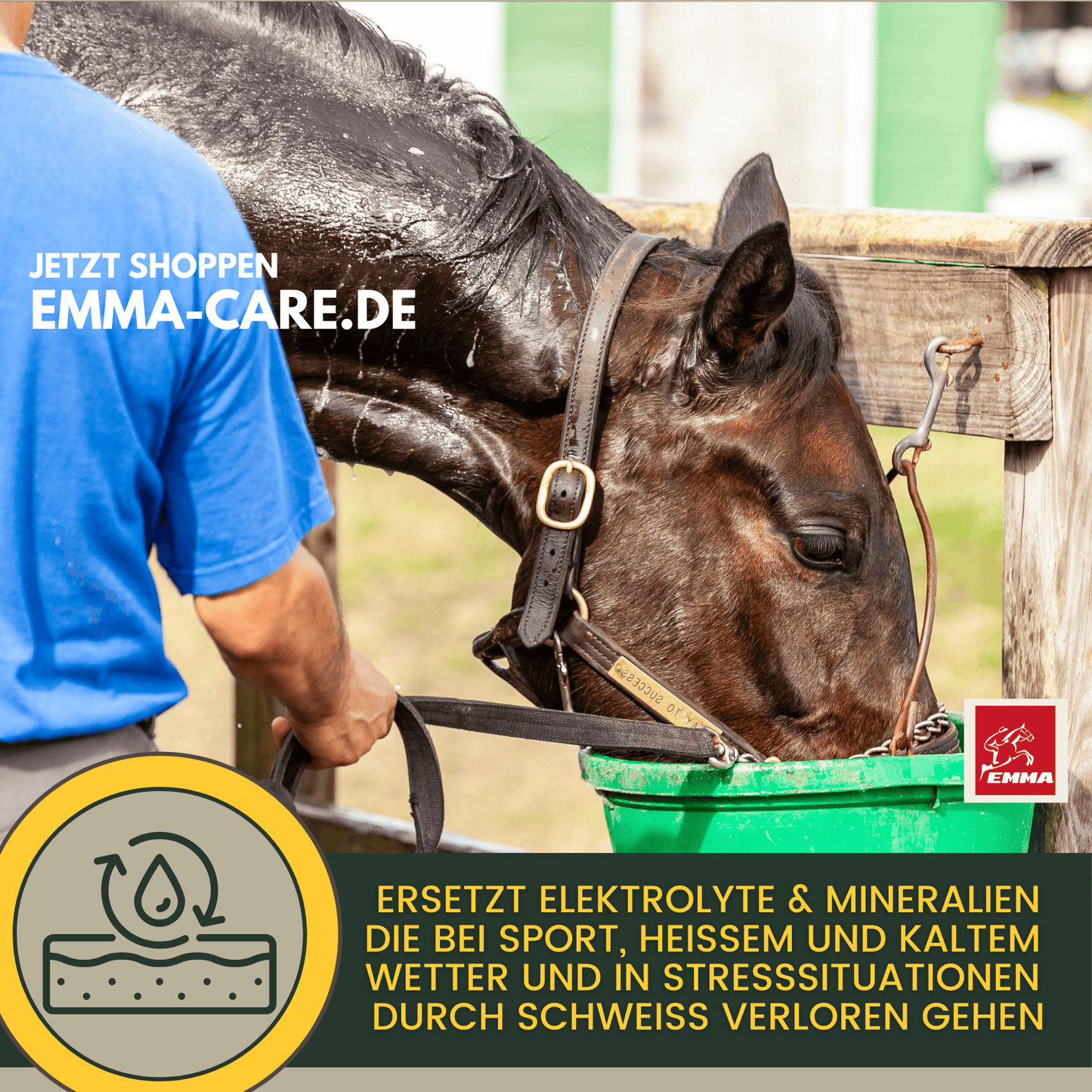 Energie Booster Pferd SPARSET – Elektrolyt, Vitamine E + Aminosäuren – EMMA – zur Pflege & täglichen Versorgung – EMMA Care