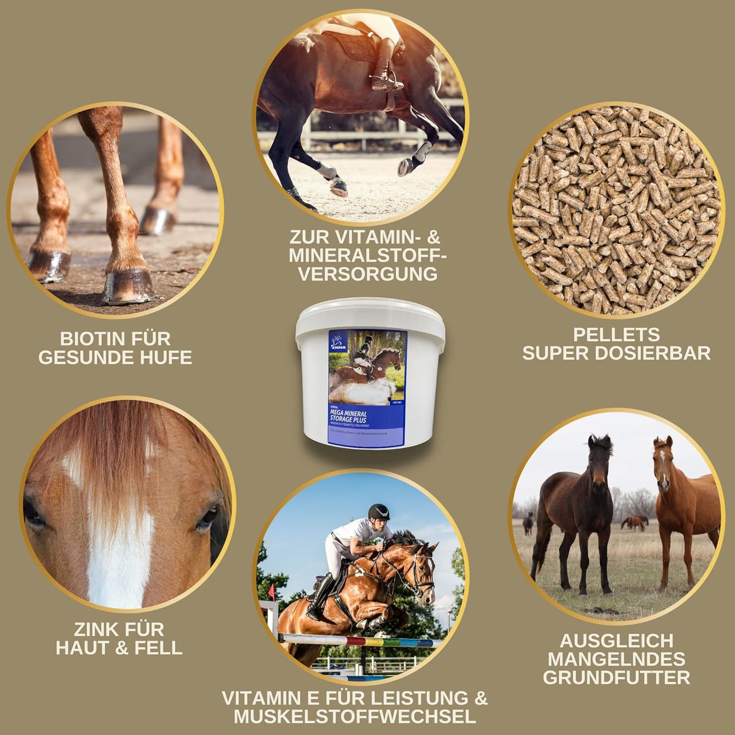 Haut, Fell & Huf vital, SPARSET, Mineralien & Vitamine Power