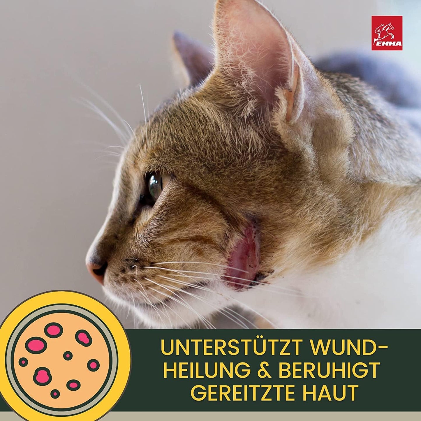 Zinksalbe für Tiere Set