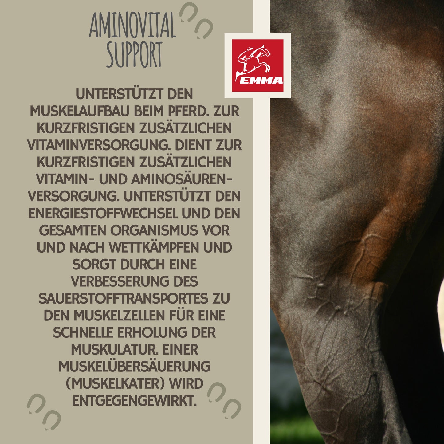 Aminosäure Aufbaufutter Muskelaufbau Pferd 1L