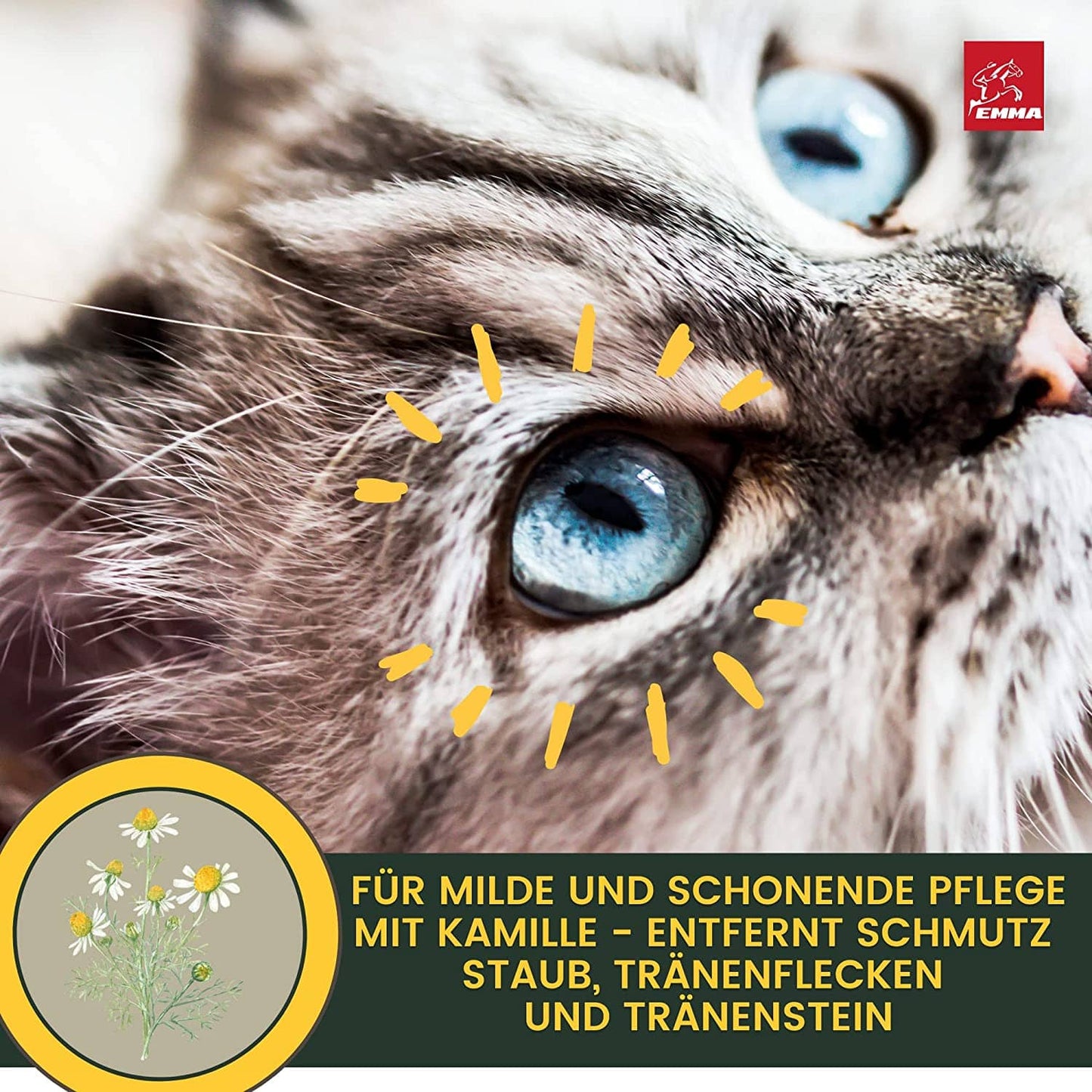 Augenreiniger für Katzen – milde & schonende Augenpflege – 100ml – EMMA – zur Pflege & täglichen Versorgung – EMMA Care