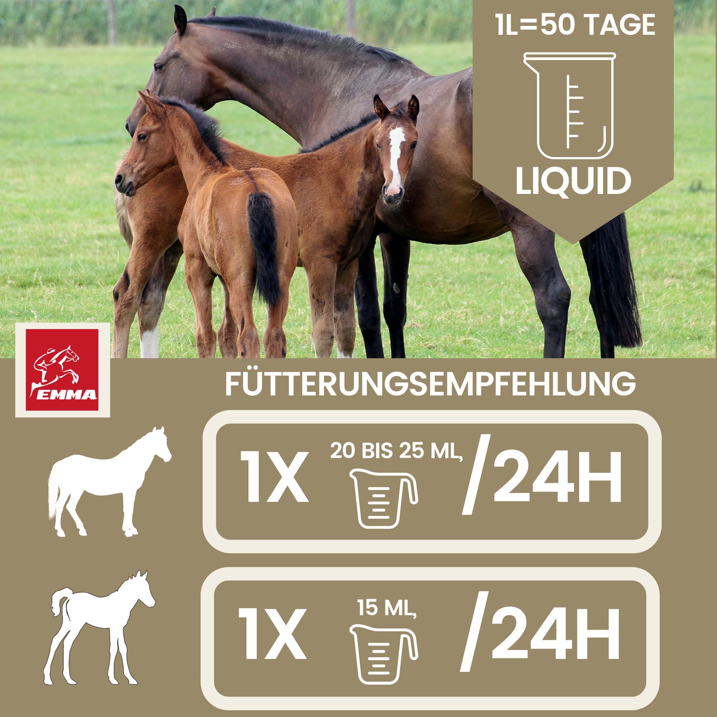 Aufbaufutter Multivitamin Eisen Zink Pferd 1L