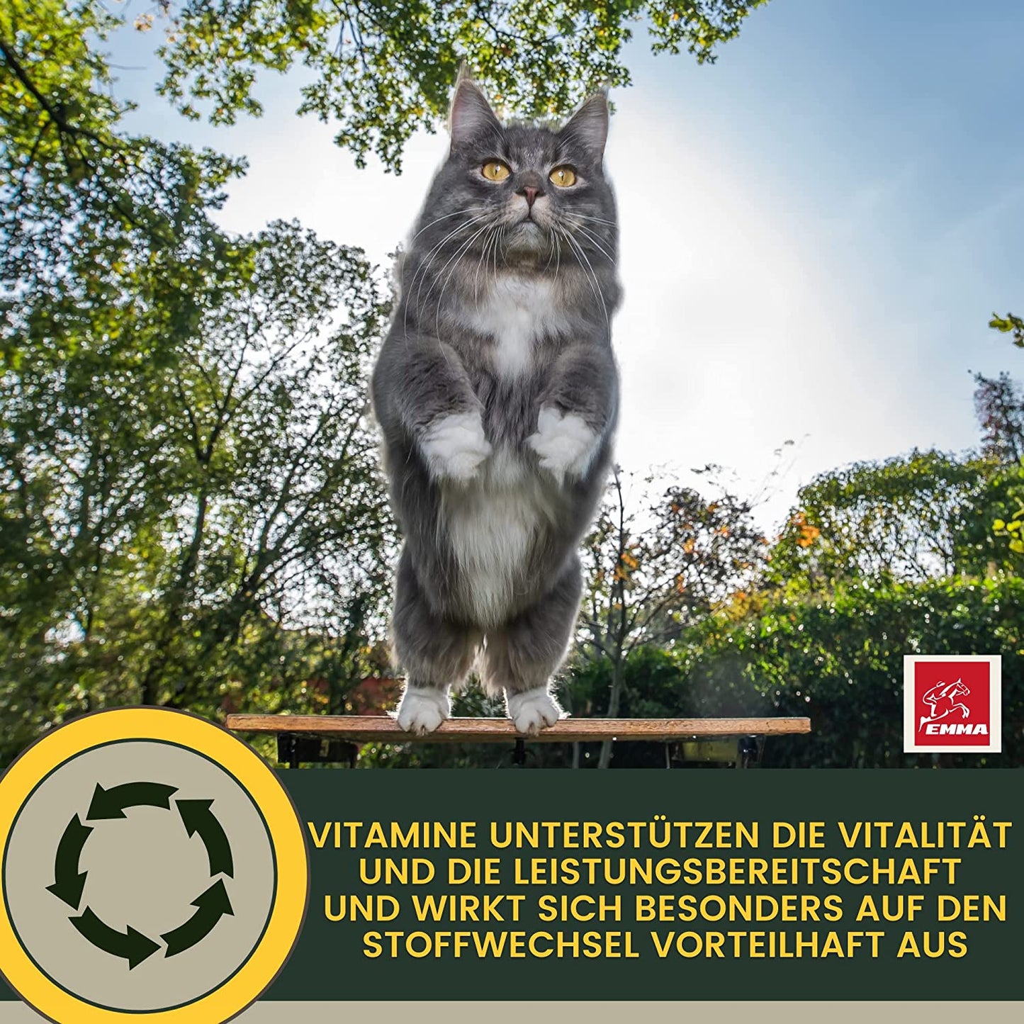 EMMA Katzen Vitamine 100ml I Multi Vitamin B komplex hochdosiert für Katzen I B Vitamine mit Vitamin A B12 D E I Folsäure Eisen Zink Selen  l Lysin Katze I Immunsystem stärken  Vitamine für Katzen.jpg