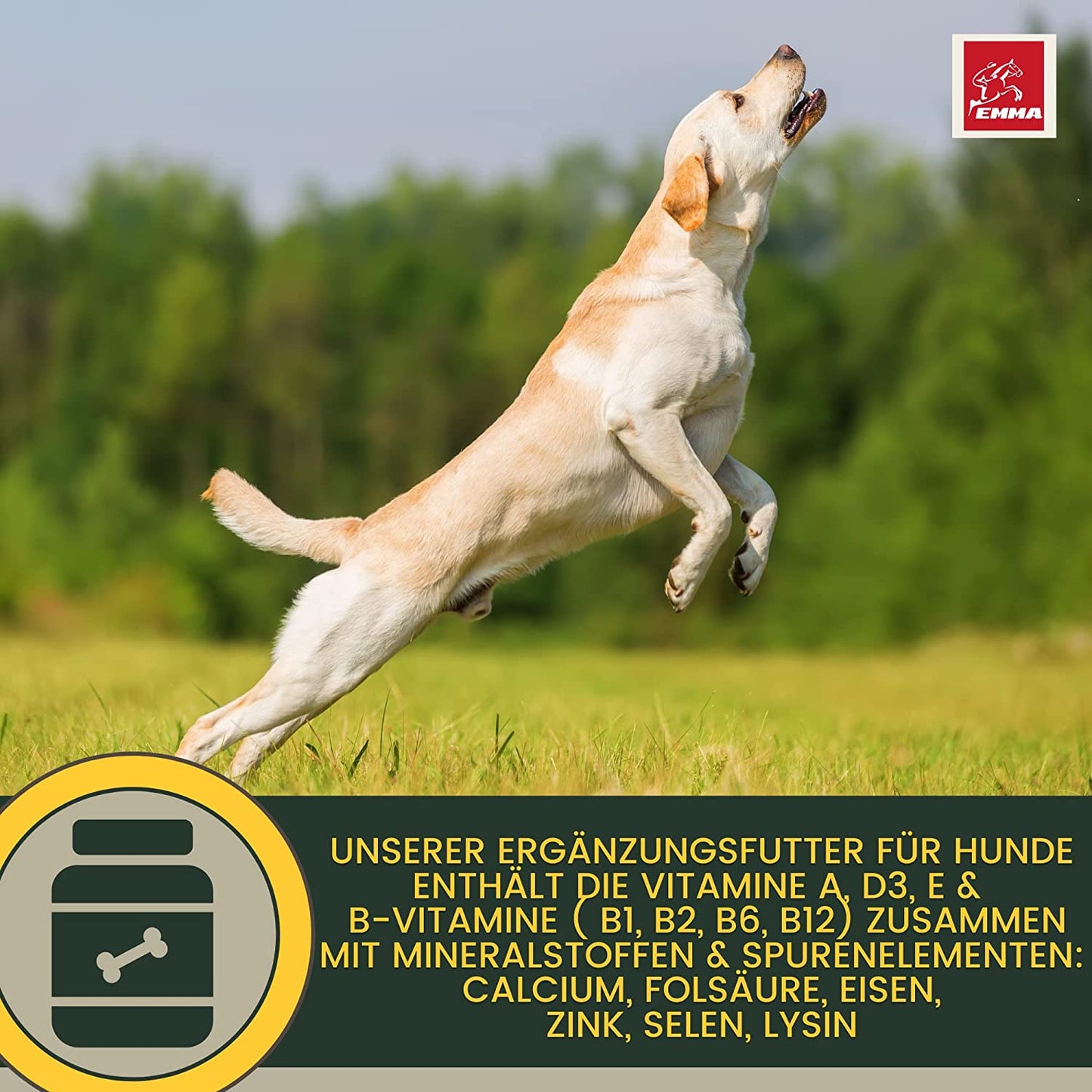 EMMA 1e Multi Vitamin B Komplex Hund I Vitamine für Hunde 100ml I Vitamin B hochdosiert für Hunde mit B Vitamine Vitamin A B12 C E I Vitalität für Senioren Welpen Vitamin-Booster Immunsystem stärken Hund5.jpg