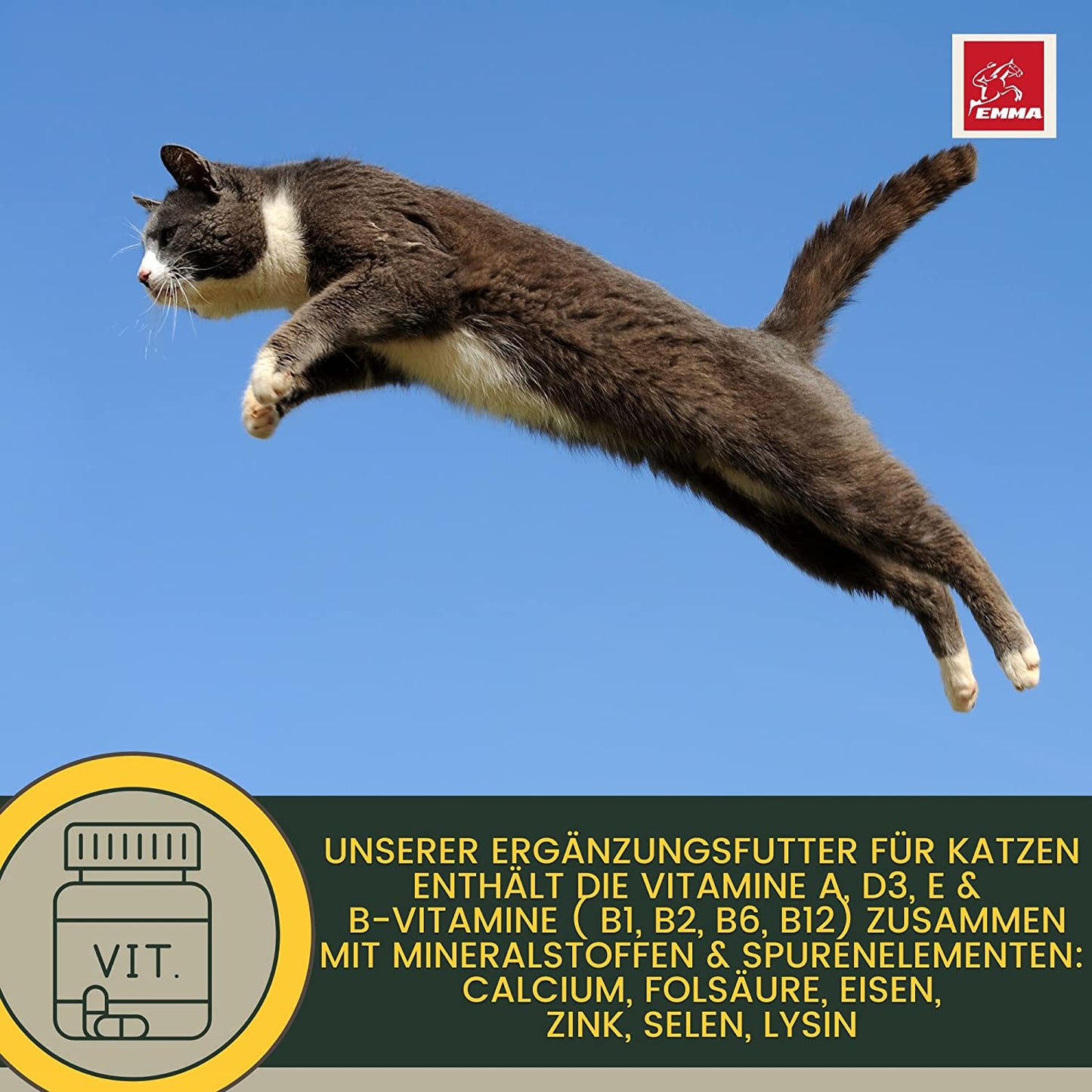 EMMA Katzen Vitamine 100ml I Multi Vitamin B komplex hochdosiert für Katzen I B Vitamine mit Vitamin A B12 D E I Folsäure Eisen Zink Selen  l Lysin Katze I Immunsystem stärken  Vitamine für Katzen.jpg