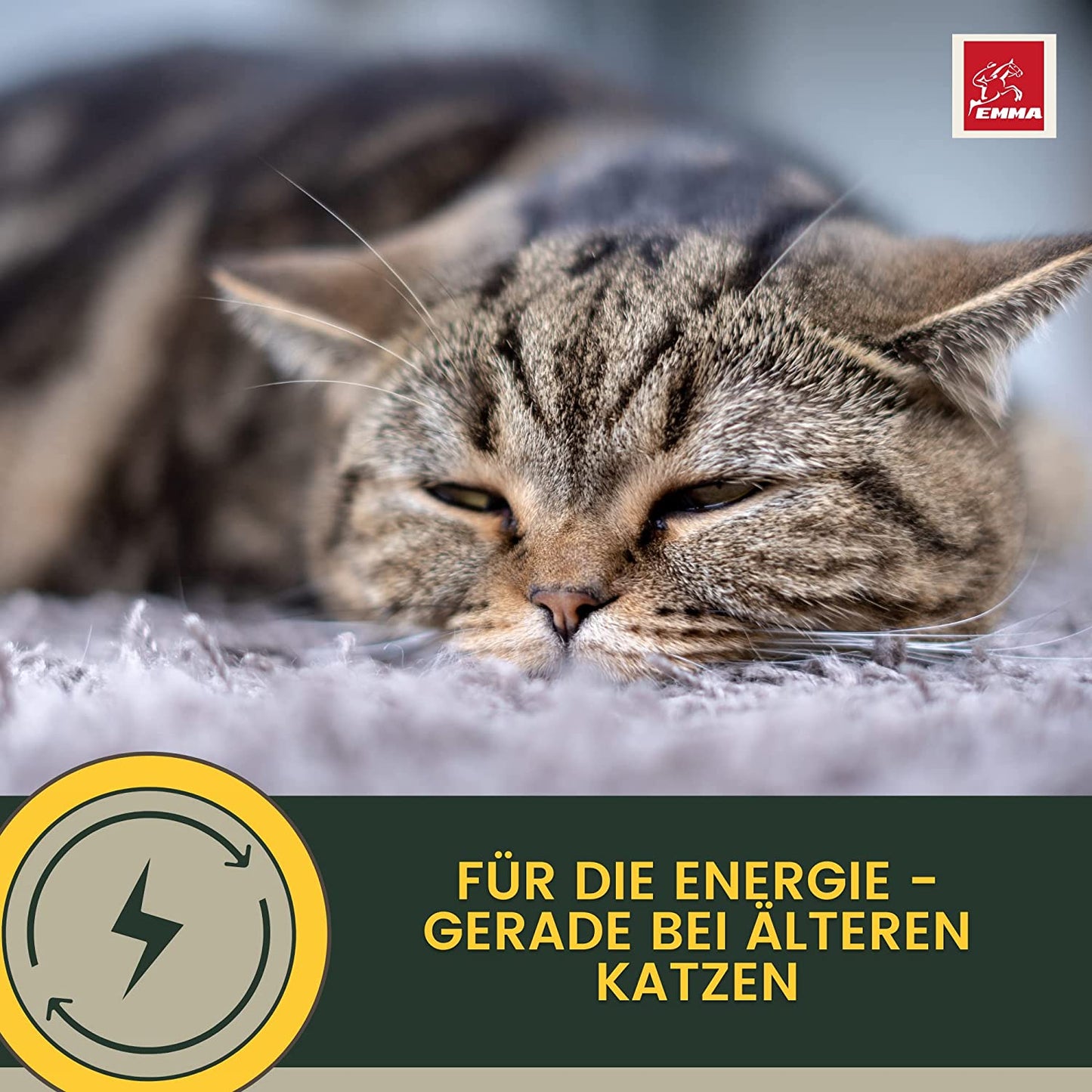 EMMA Katzen Vitamine 100ml I Multi Vitamin B komplex hochdosiert für Katzen I B Vitamine mit Vitamin A B12 D E I Folsäure Eisen Zink Selen  l Lysin Katze I Immunsystem stärken  Vitamine für Katzen.jpg
