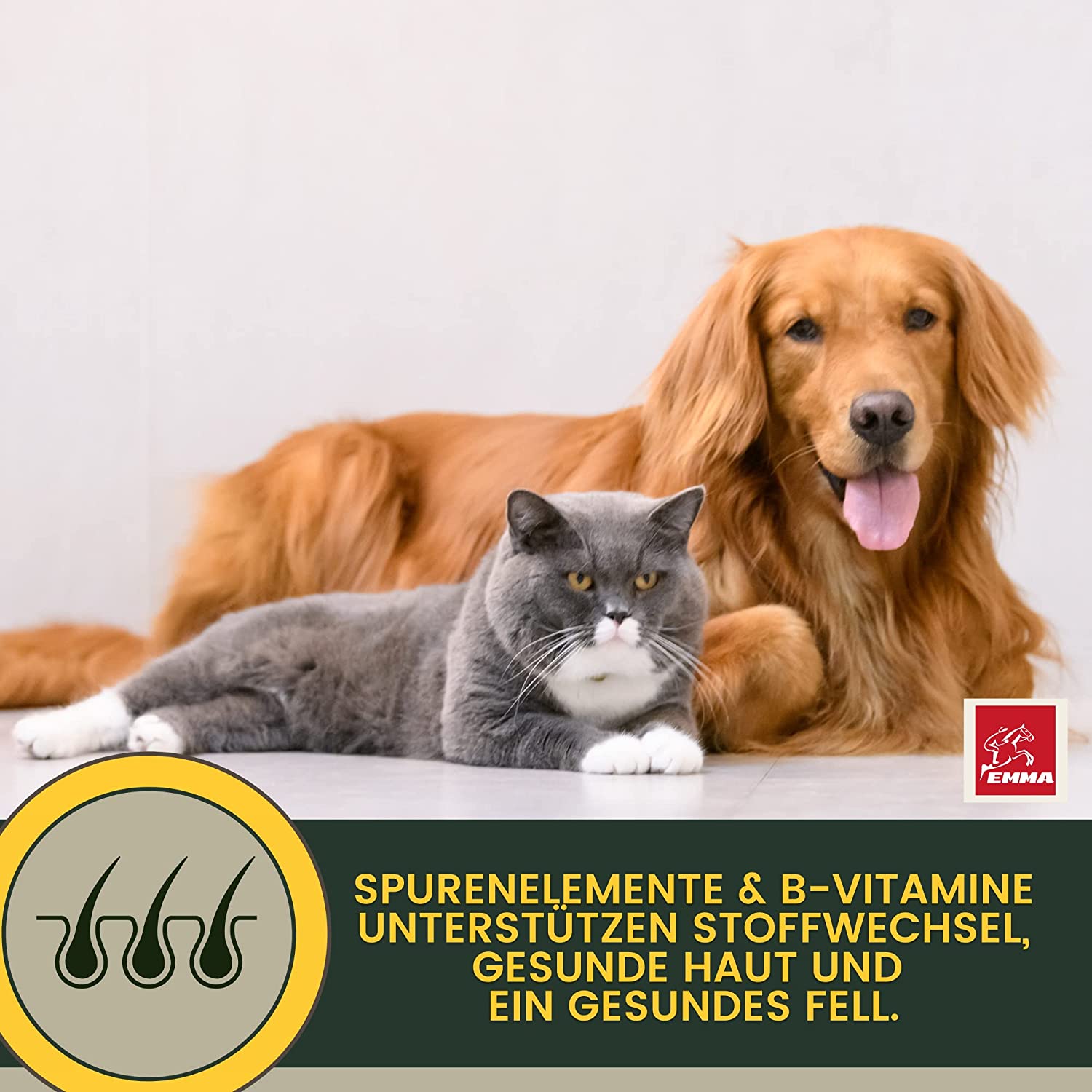 EMMA Multi Vitamin B Komplex Hund I Vitamine für Hunde 100ml I Vitamin B hochdosiert für Hunde mit B Vitamine Vitamin A B12 C E I Vitalität für Senioren Welpen Vitamin-Booster Immunsystem stärken Hund .png