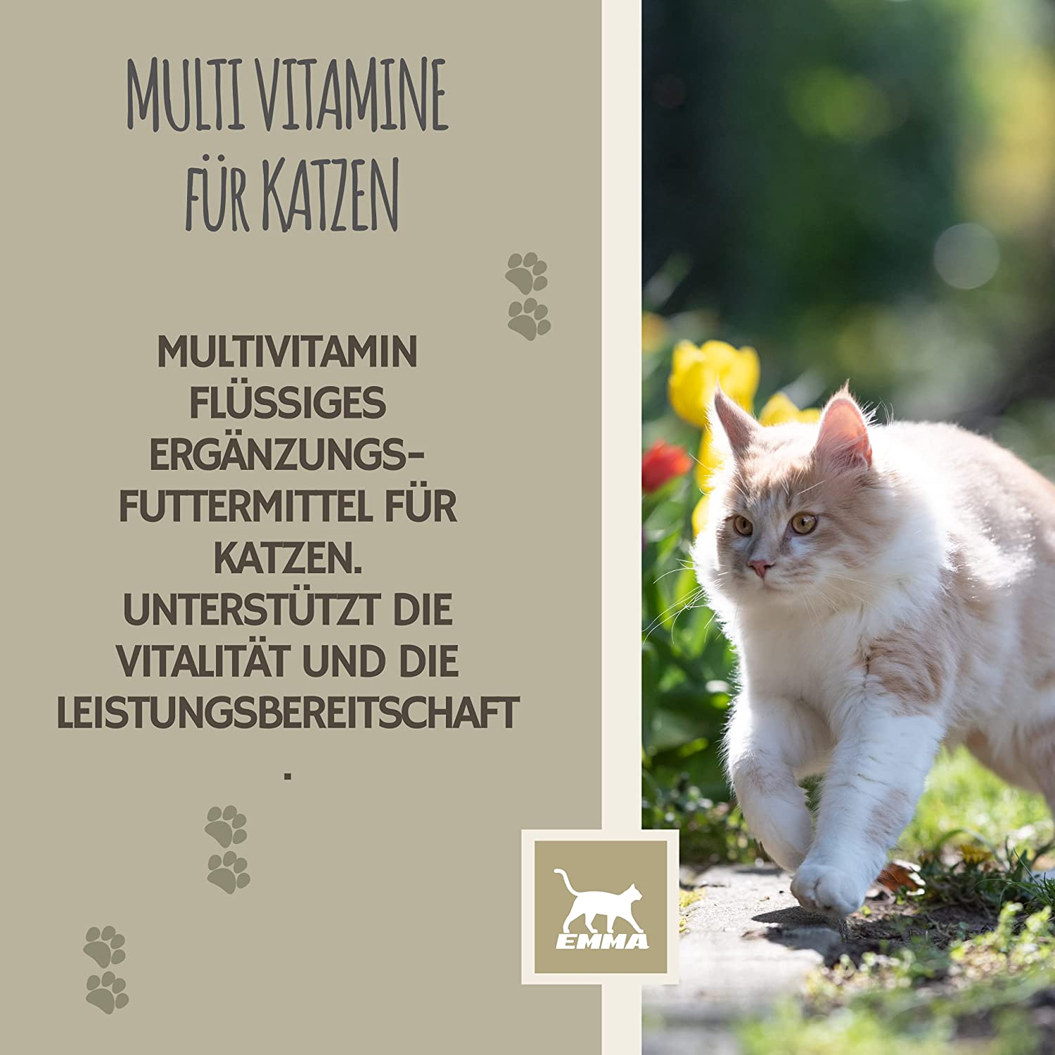 EMMA Katzen Vitamine 100ml I Multi Vitamin B komplex hochdosiert für Katzen I B Vitamine mit Vitamin A B12 D E I Folsäure Eisen Zink Selen  l Lysin Katze I Immunsystem stärken  Vitamine für Katzen.jpg