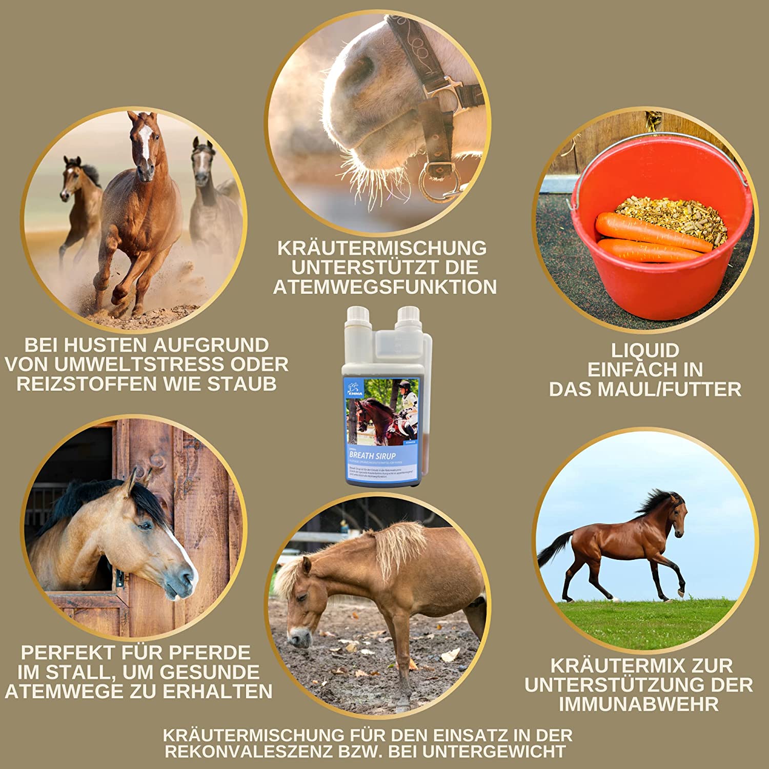 EMMA Breath Elixir  Hustensaft Pferd Bronchialkräuter Thymian Kamille Fenchel Pferd I Elixir Atemwegskräuter Pferd I bei Husten Pferd freie Atemwege I Bronchial Liquid I Atemkräuter I Hustenkräuter Pferd Husten 1L2.jpg