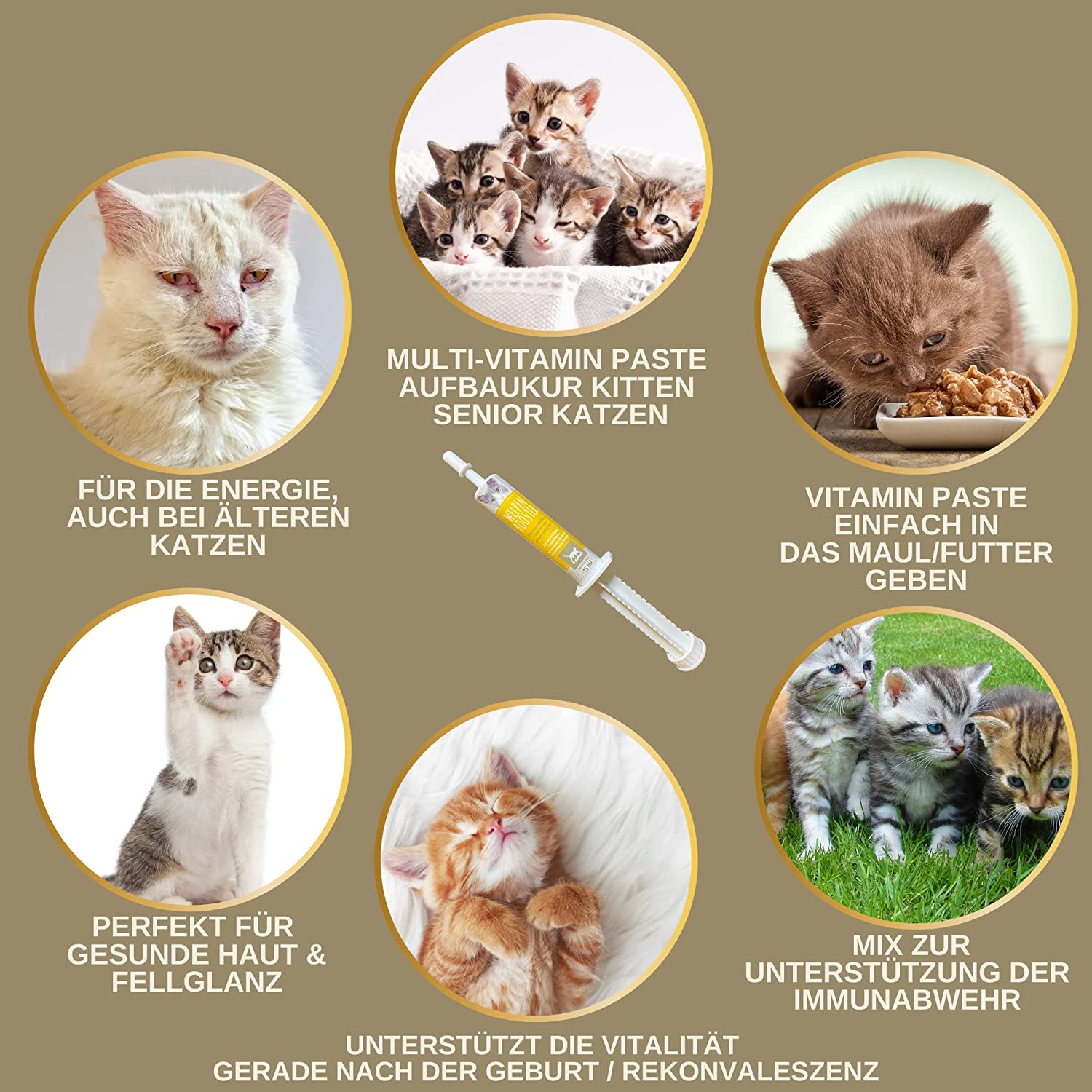 EMMA Katzen Vitamine - Vitaminpaste für Katzen 15ml I Vitamin B komplex hochdosiert für Katzen I B Vitamine mit Vitamin A D C I Multi-Vitamin Paste Senioren - Kitten Paste Immunsystem stärken Katze .png