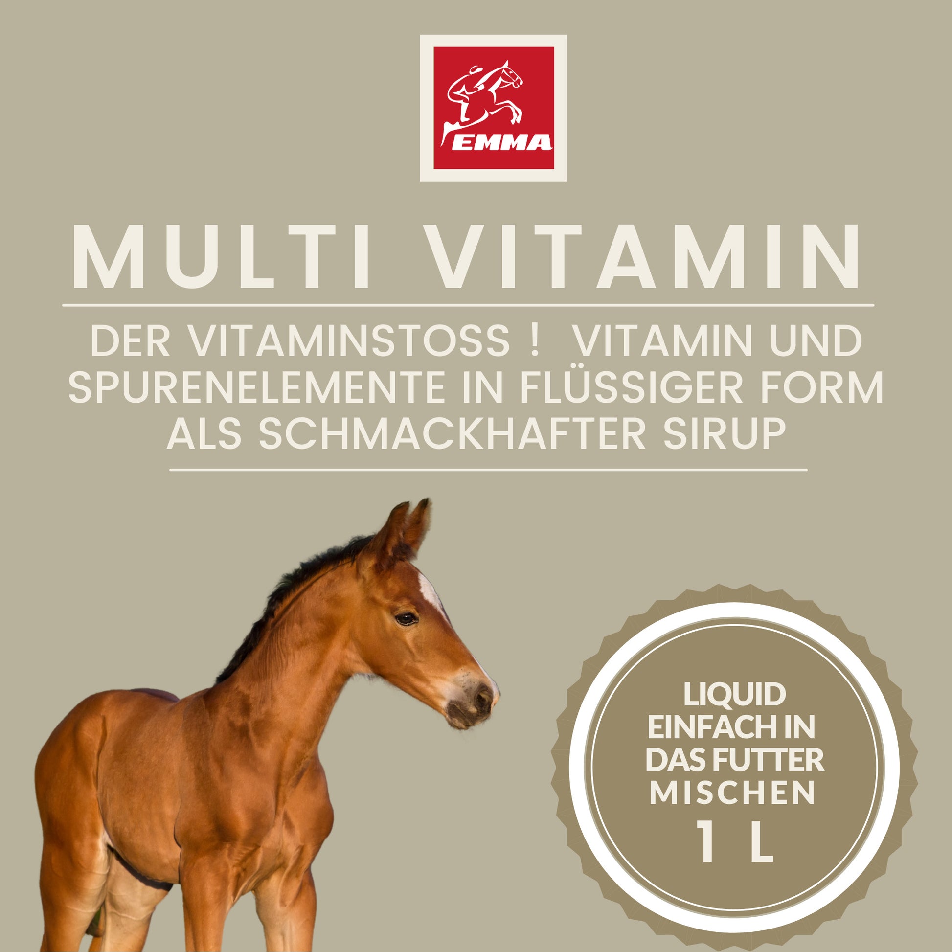 Aufbaufutter Multivitamin Eisen Zink Pferd 1L