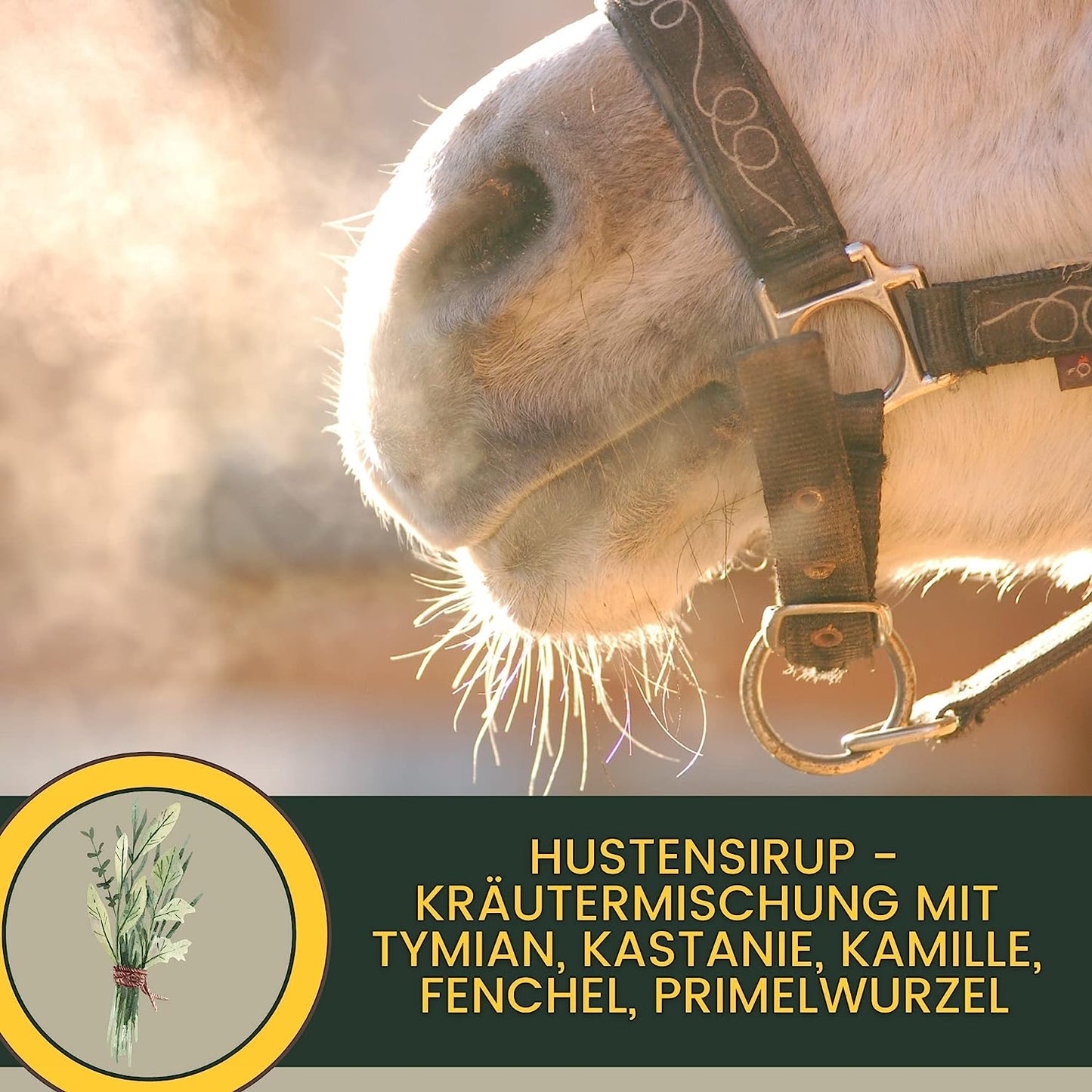 EMMA Breath Sirup Hustensaft Pferd - Sirup Bronchialkräuter Pferd Thymian Fenchel Schleimlöser Pferd I Atemwegskräuter Pferd Husten I bei Husten Pferd freie Atemwege I Atemkräuter I Hustenkräuter Pferd Husten