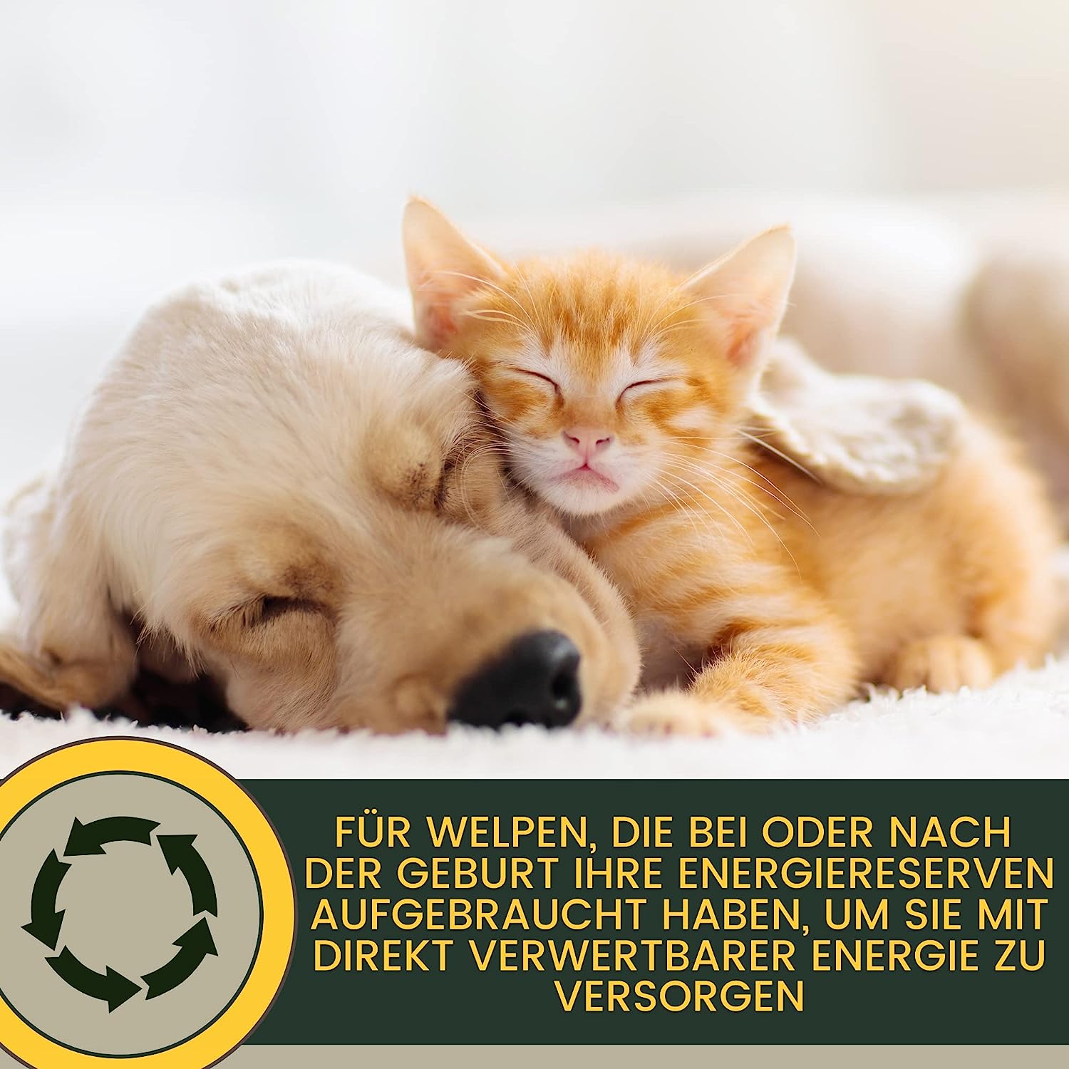 EMMA Katzen Vitamine - Vitaminpaste für Katzen 15ml I Vitamin B komplex hochdosiert für Katzen I B Vitamine mit Vitamin A D C I Multi-Vitamin Paste Senioren - Kitten Paste Immunsystem stärken Katze .png