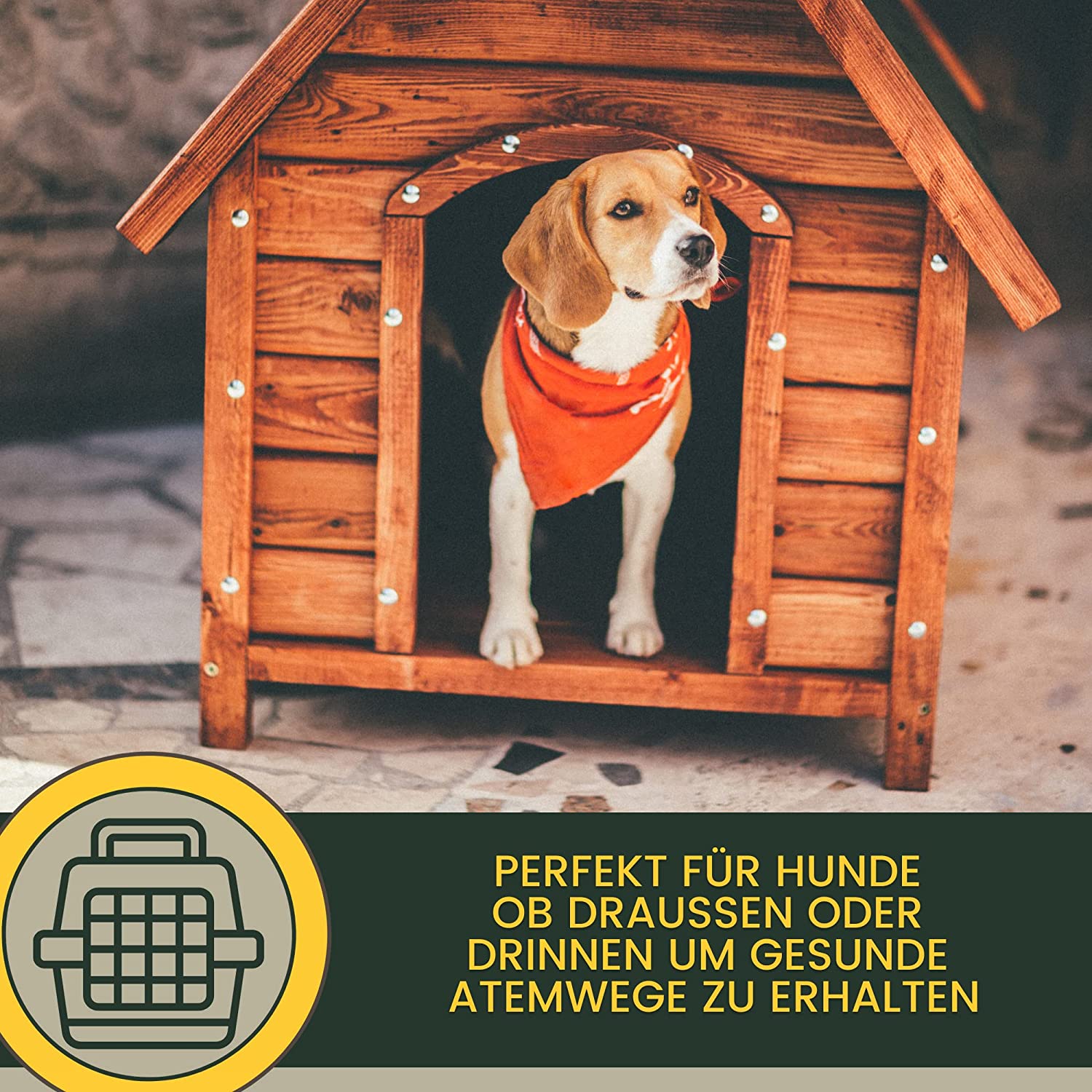 EMMA bronchiobol  Hustensaft für Hunde I Thymian Bronchial Kräuter I Tropfen + Anis Fenchel I Hustenmittel Beruhigung Atemwege bei Husten & Erkältung Hund I Schleimlöser für Bronchien Hund I Kräutermischung Hund 100ml4