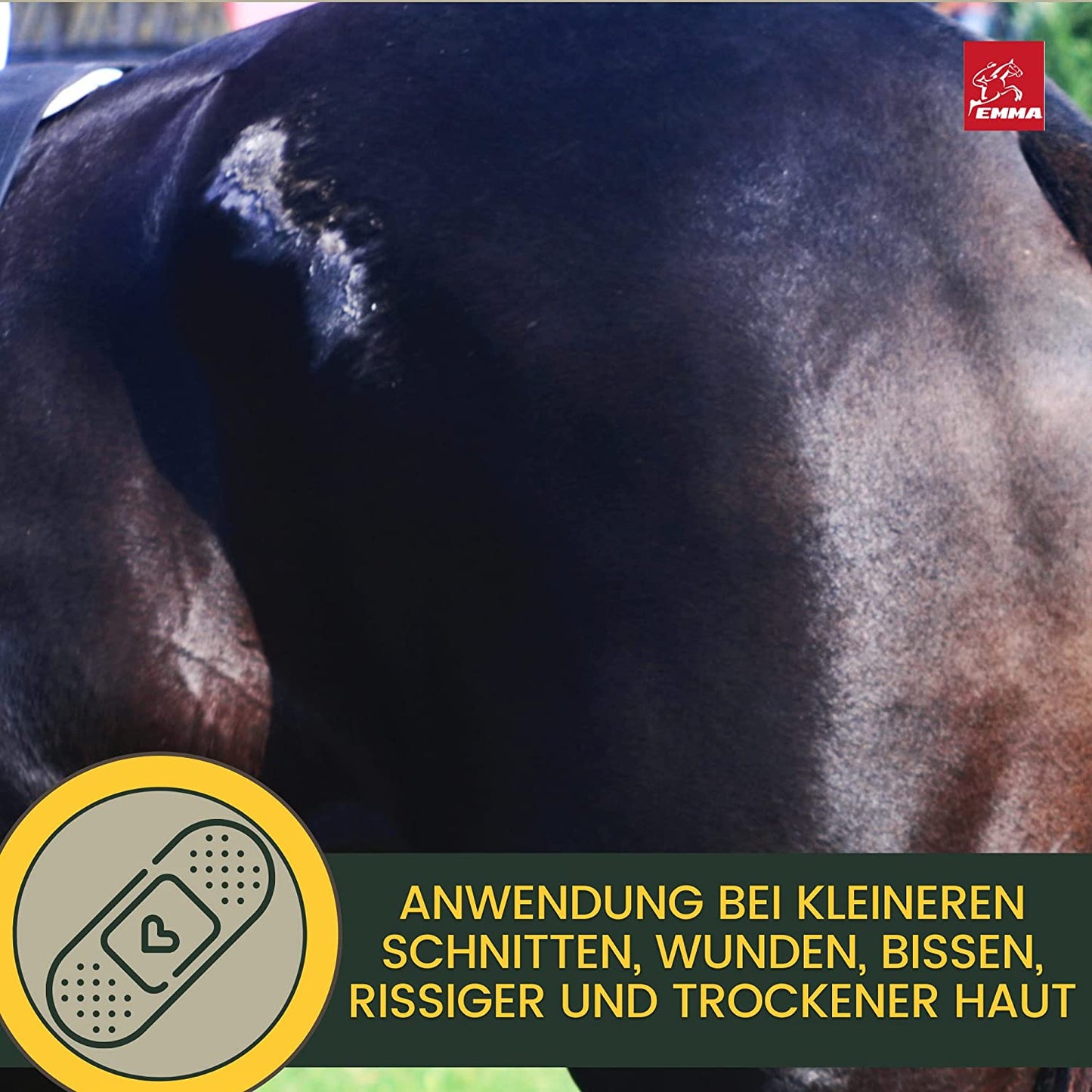 EMMA Lebertran-Zinksalbe 1 I Wundsalbe Wundcreme Hund Katze Pferd I Zinkpaste offene Wunde I Ekzem Zink Salbe gegen Juckreiz I Zinkcreme Wundheil I Zinkbalsam Wundheilung I Wund und Heilsalbe Tiere