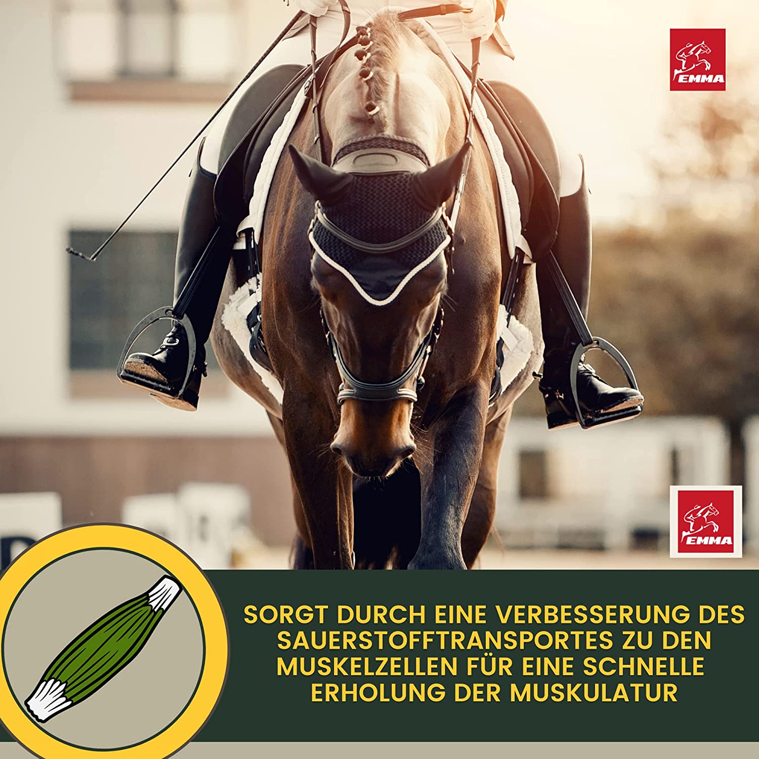 EMMA Power Vitality Booster  Vitamin Paste für Pferde I Aminosäuren Pferd I Amino Booster I Vitamin E Bierhefe Pferd I Energie Pferd I Aufbaufutter bei Muskelkater I Regeneration Muskulatur Leistung I Muskelaufbau Pferd 3 * 30ml3.jpg