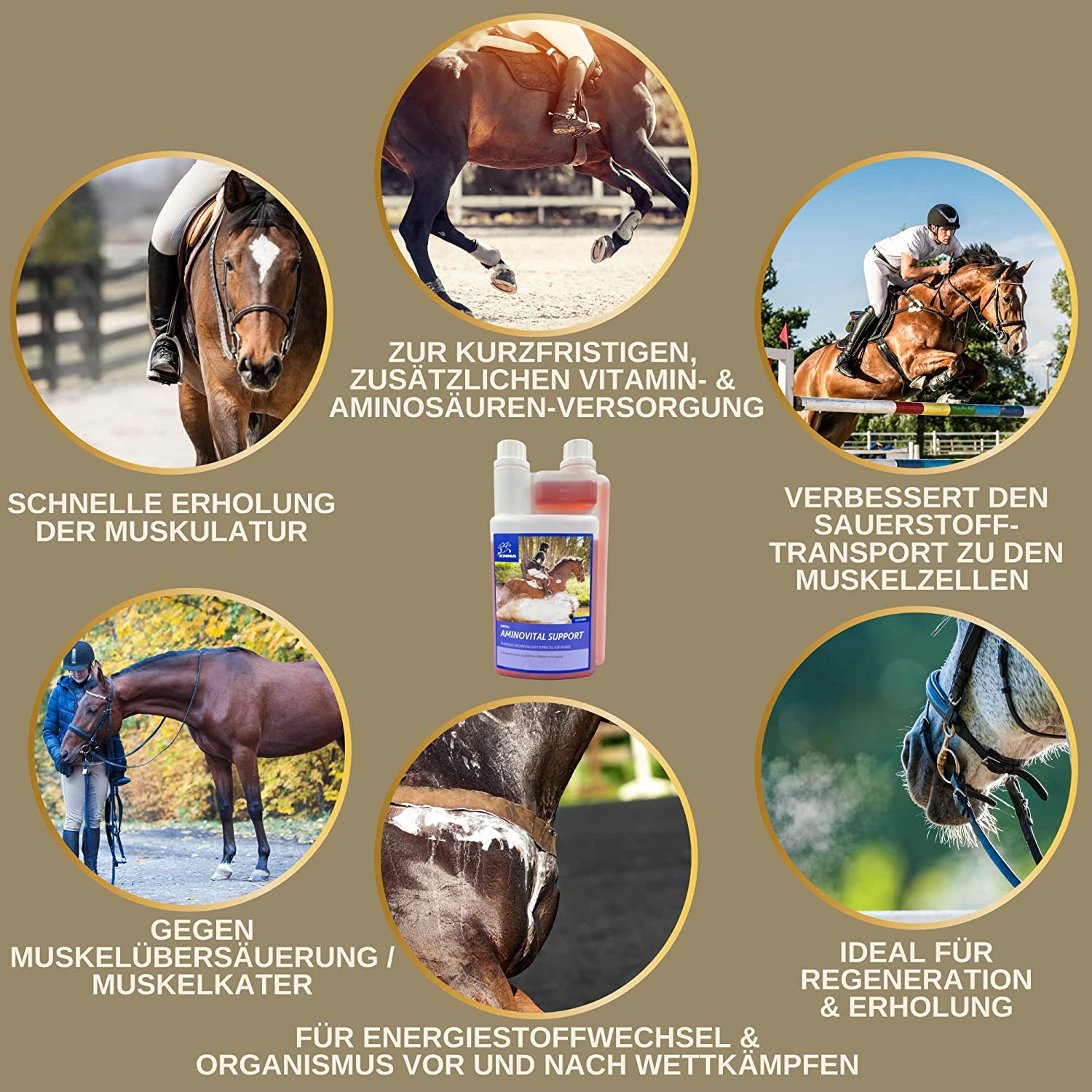 EMMA Aminovital support 32 Liquid I Aminosäuren Vitamin B komplex I Zusatzfutter Vitamin B12 I Zink Pferd I Muskelaufbau Pferd Stärkung Muskulatur I Regeneration Muskeln aufbauen alternativ zu Pulver für Pferde 1L .png