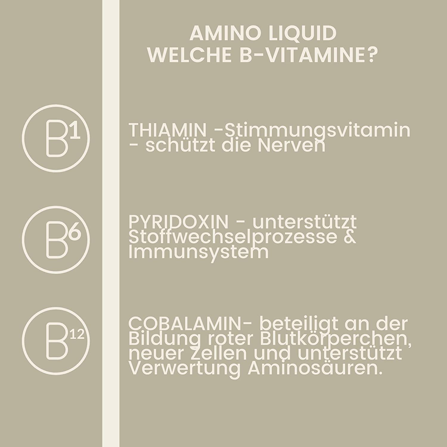 EMMA Aminovital support 32 Liquid I Aminosäuren Vitamin B komplex I Zusatzfutter Vitamin B12 I Zink Pferd I Muskelaufbau Pferd Stärkung Muskulatur I Regeneration Muskeln aufbauen alternativ zu Pulver für Pferde 1L .png