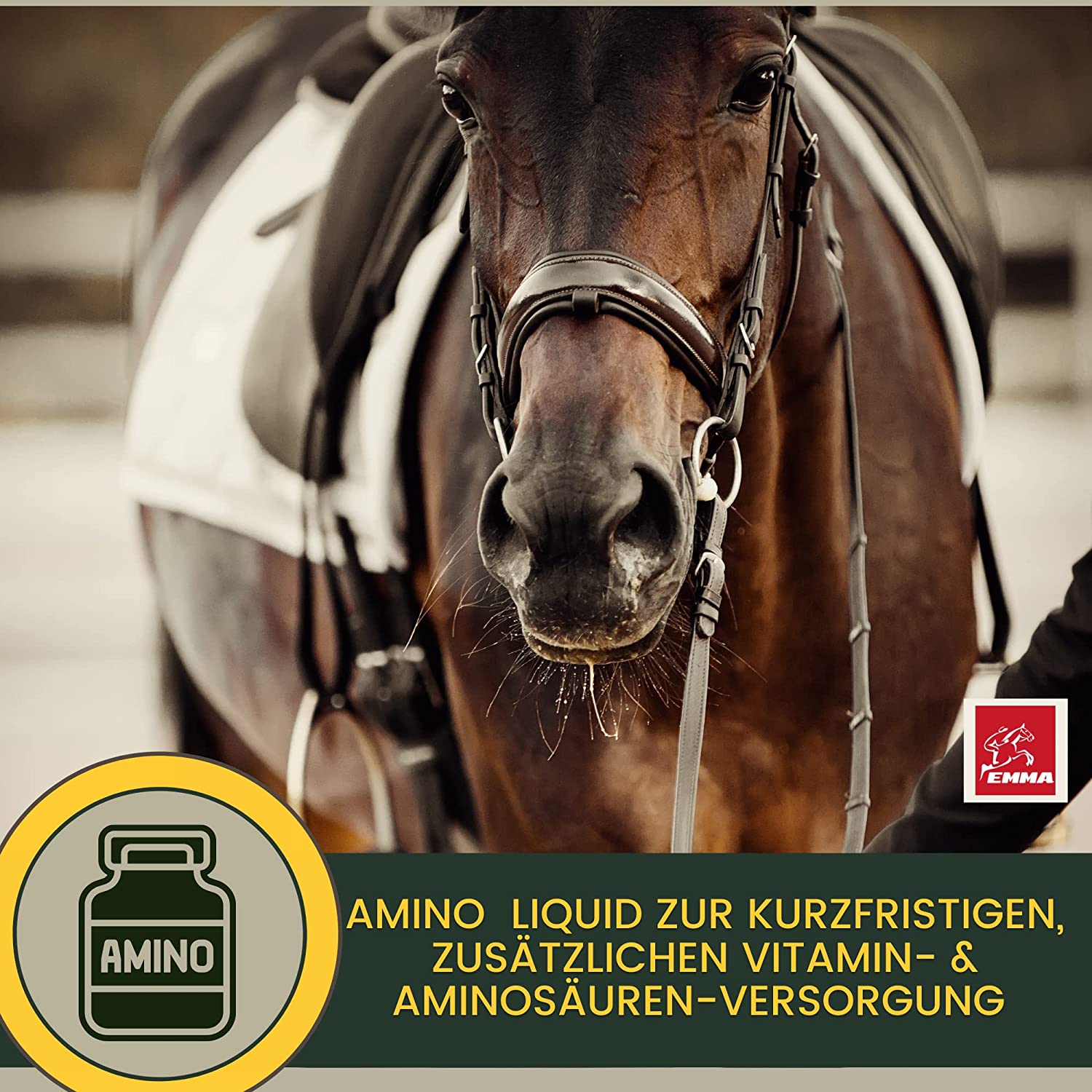 EMMA Aminovital support 32 Liquid I Aminosäuren Vitamin B komplex I Zusatzfutter Vitamin B12 I Zink Pferd I Muskelaufbau Pferd Stärkung Muskulatur I Regeneration Muskeln aufbauen alternativ zu Pulver für Pferde 1L .png