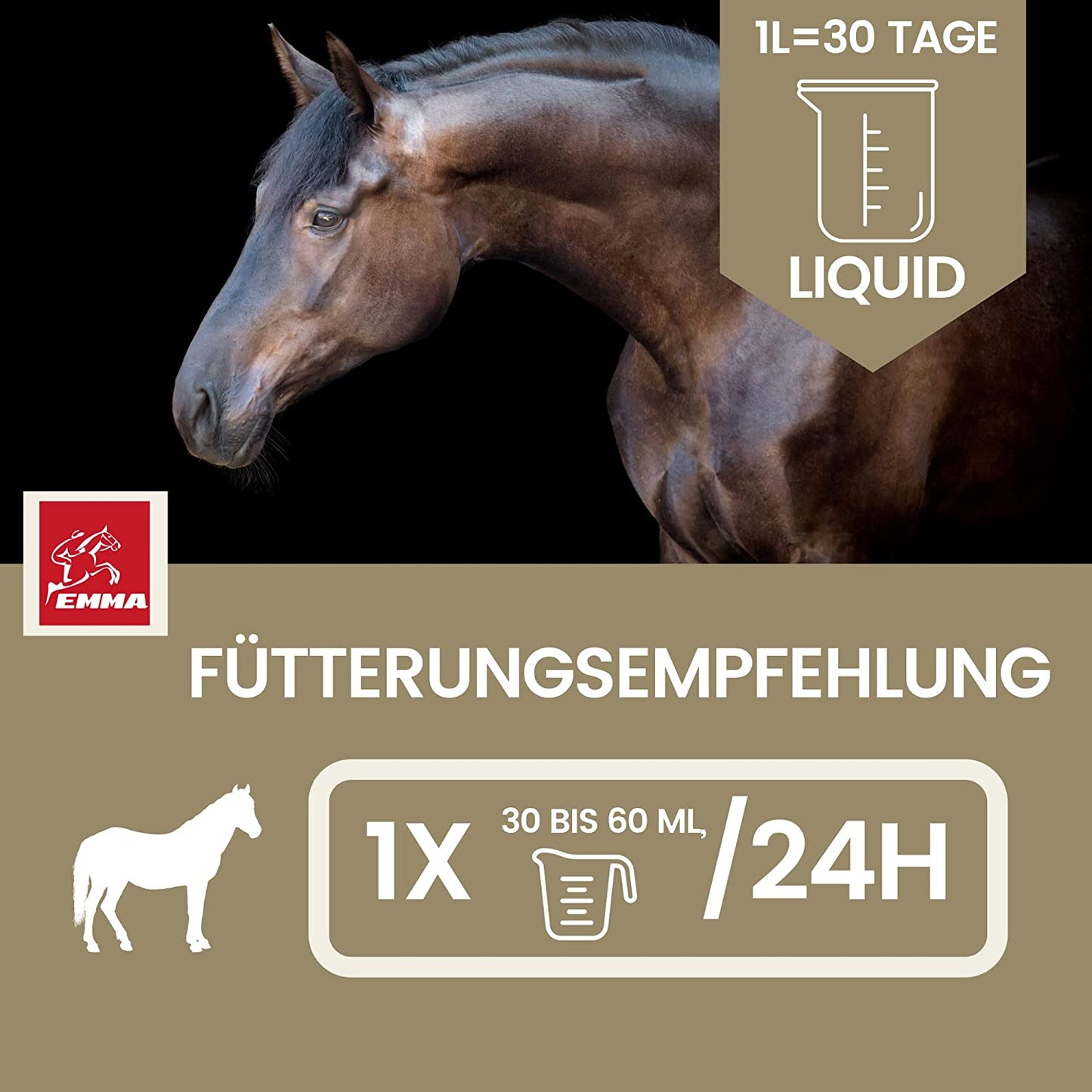 EMMA Aminovital support 32 Liquid I Aminosäuren Vitamin B komplex I Zusatzfutter Vitamin B12 I Zink Pferd I Muskelaufbau Pferd Stärkung Muskulatur I Regeneration Muskeln aufbauen alternativ zu Pulver für Pferde 1L .png