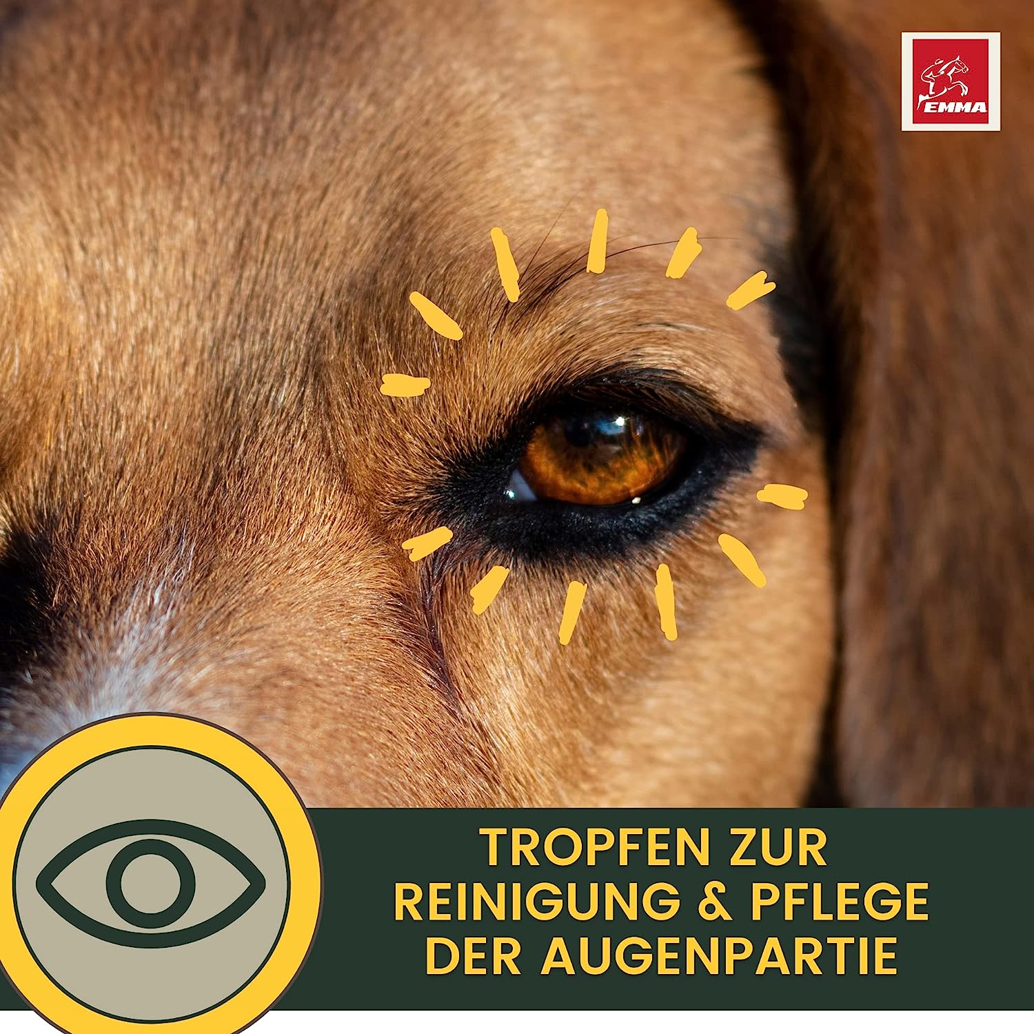 Augentropfen Hund - Augenpflege Hunde - Augenreiniger - Tränenfleckentferner Hund Staub Schmutz - Augen Reinigung & Pflege Tränenflecken - Alternativ Augensalbe Hunde Pflege beugt Entzündung vor 100ml5.jpg