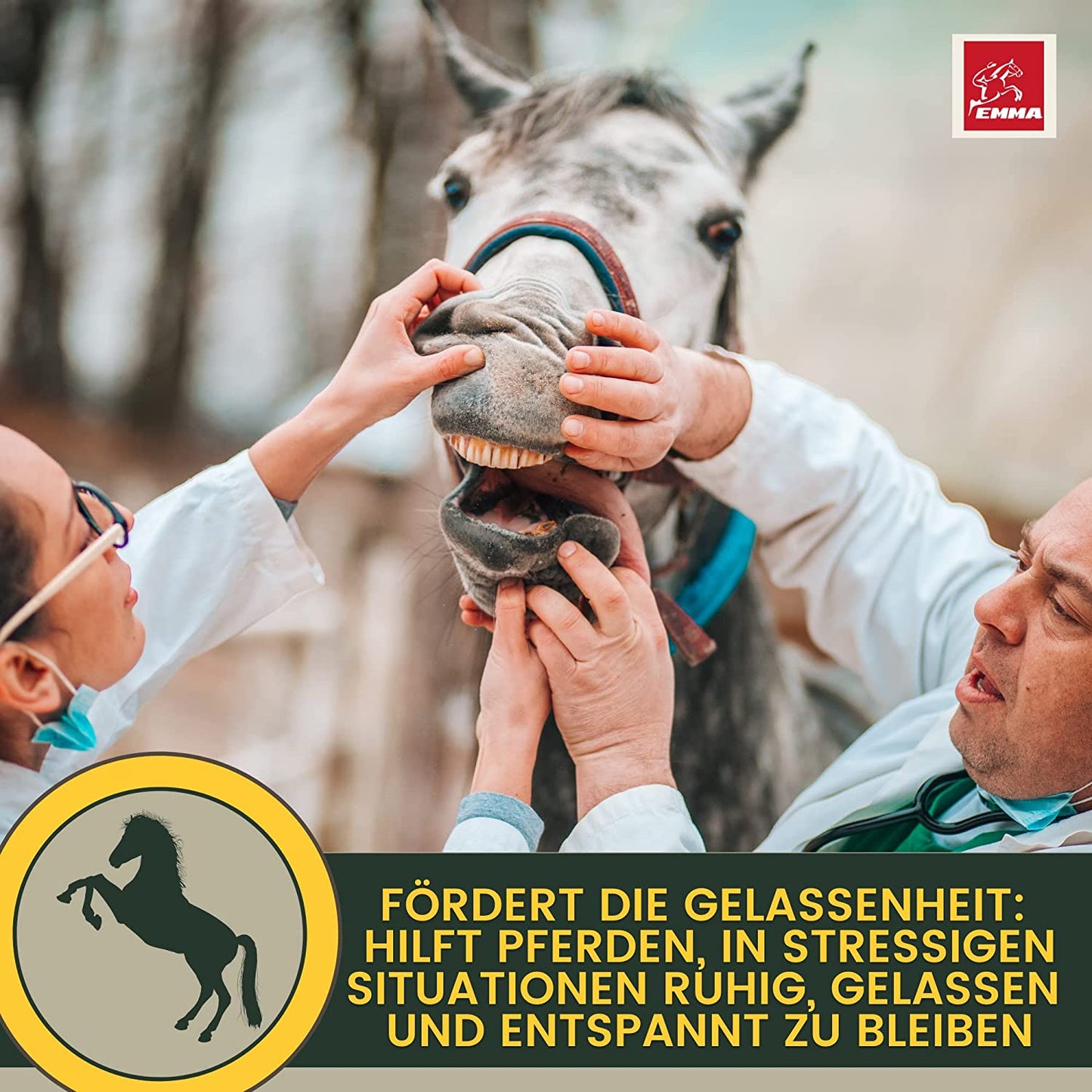 EMMA CALM B12 Magnesium Pferd 1Kg Calm Relax Pulver mit Magnesium Vitamin E I gegen Angst & Stress I Anti-Stress Beruhigung Nerven Pferd I Nervosität & Stress Abbau für Transport für nervöse Pferde.jpg