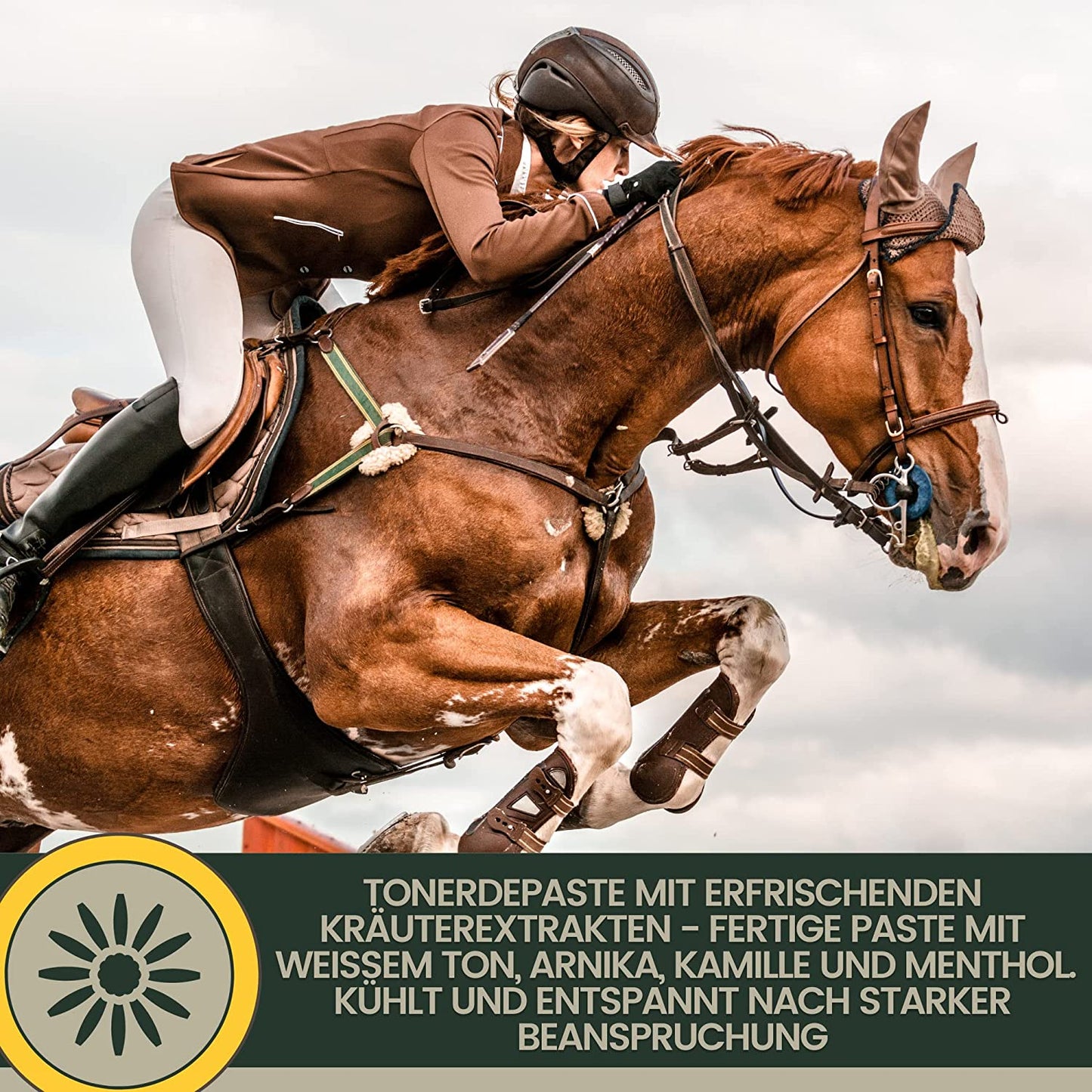 EMMA COOL CLAY 23 essigsaure Tonerde Pferd • Pferdesalbe kühlend 3*1,5kg Heilerde Paste Arnika I Arnika Salbe Entspannung Sehnen Gelenke Muskeln Bänder Pferdebalsam Arnica Gel Salbe Tonerde Kühlsalbe extra stark .png