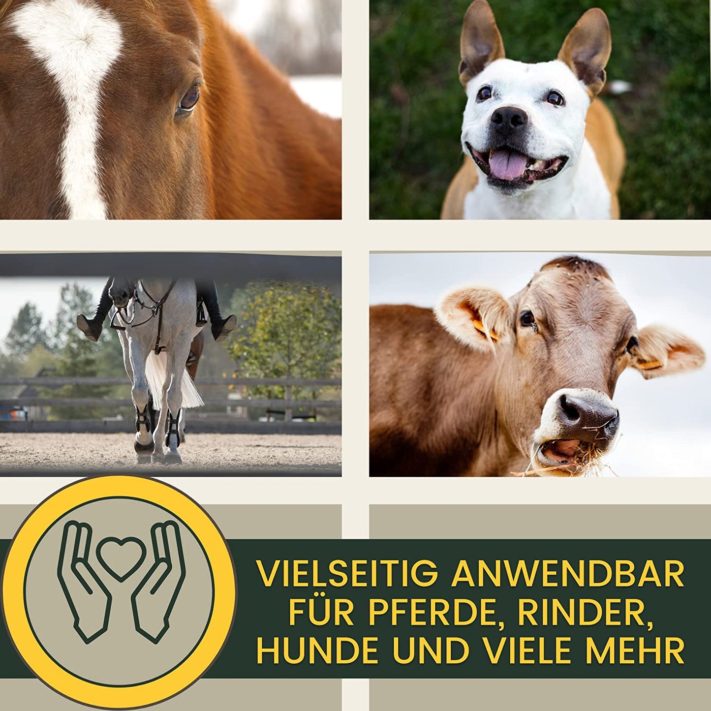 Erste_Hilfe_Set_Silberspray_Silber_Spray_Wundspray_Wundschutz_Wundheilung_Wundsalbe_Wunddesinfektion_Sprühpflaster_Sprühverband