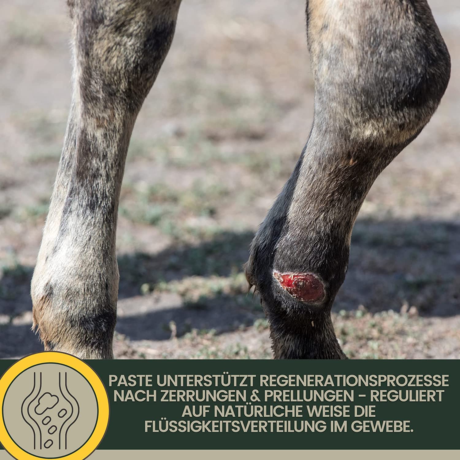 EMMA COOL CLAY 23 essigsaure Tonerde Pferd • Pferdesalbe kühlend 3*1,5kg Heilerde Paste Arnika I Arnika Salbe Entspannung Sehnen Gelenke Muskeln Bänder Pferdebalsam Arnica Gel Salbe Tonerde Kühlsalbe extra stark .png