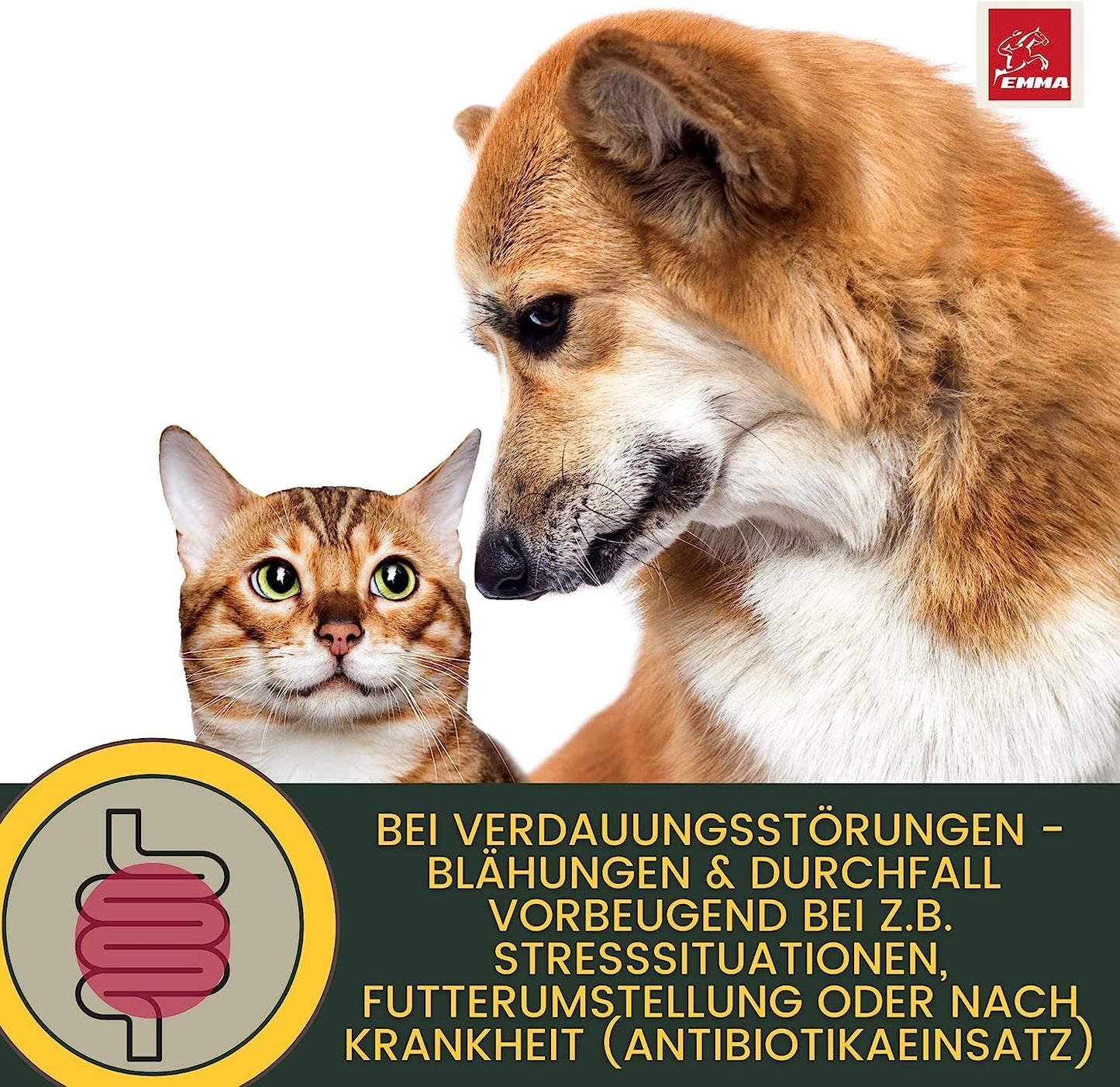Verdauungshilfe Hund – Fenchel & Kümmel – für optimale Verdauung – 30ml – EMMA – zur Pflege & täglichen Versorgung – EMMA Care