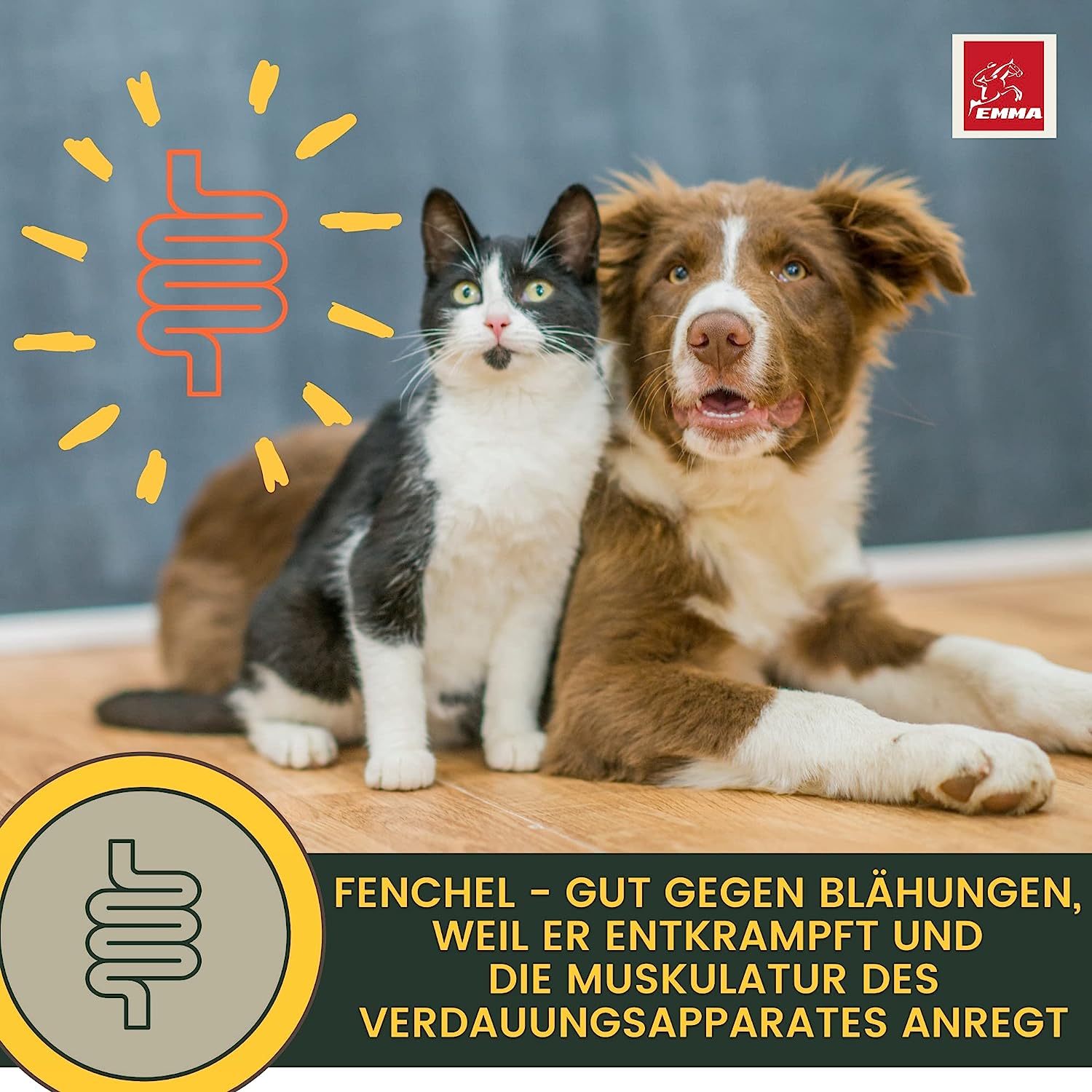 Darmkur Hund Kräuter Aktiv Tropfen + Kümmel I Erste Hilfe Verdauung - Magen-Darm Darmflora Hund I Aufbaufutter Hund - Durchfall Hund Blähungen I Darmsanierung I Appetitanreger für Hunde 30ml3.jpg