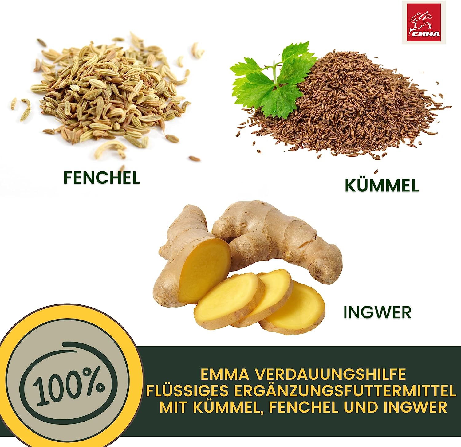 Darmkur Hund Kräuter Aktiv Tropfen + Kümmel I Erste Hilfe Verdauung - Magen-Darm Darmflora Hund I Aufbaufutter Hund - Durchfall Hund Blähungen I Darmsanierung I Appetitanreger für Hunde 30ml3.jpg