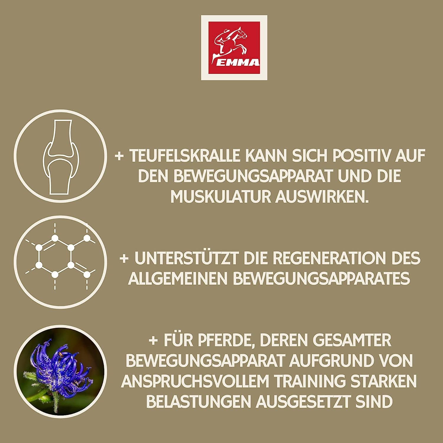 EMMA Devil Liquid  Teufelskralle Pferd 1L Gelenk Liquid mit natürlicher Teufelkralle für Pferde I Pferde Liquid Gelenk für Stärkung & Regeneration & Unterstützung Bewegungsapparat I Gelenk Futter Mittel auch Senioren5.jpg