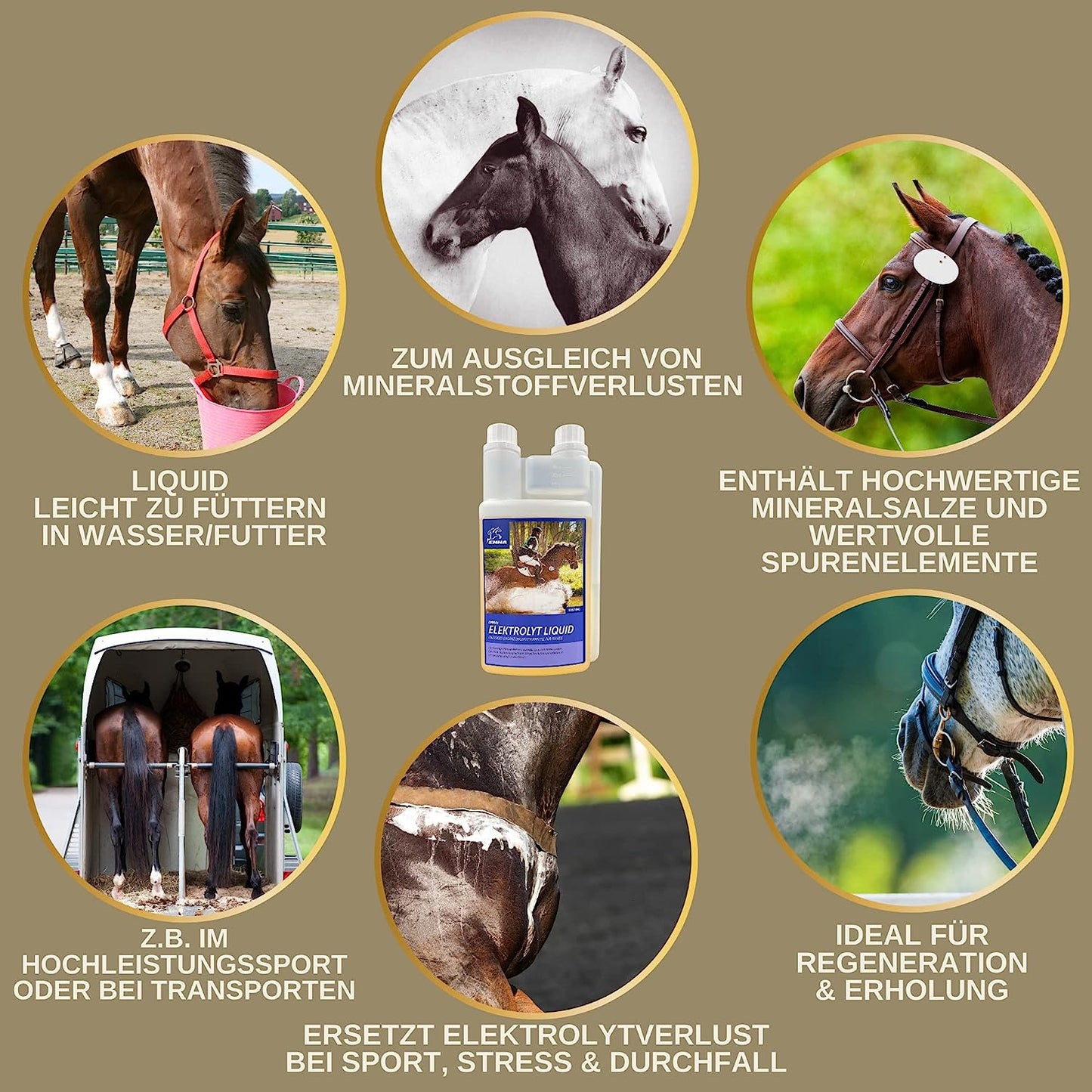 EMMA Elektrolyte 117 Pferd 1L Plus Vitamin b12 I Elektrolyte für Pferde Mineralstoffe Spurenelemente I Natrium Salze Magnesium Pferd I Pferd Elektrolyte bei Durchfall Kotwasser Schwitzen Mineralsalze .png