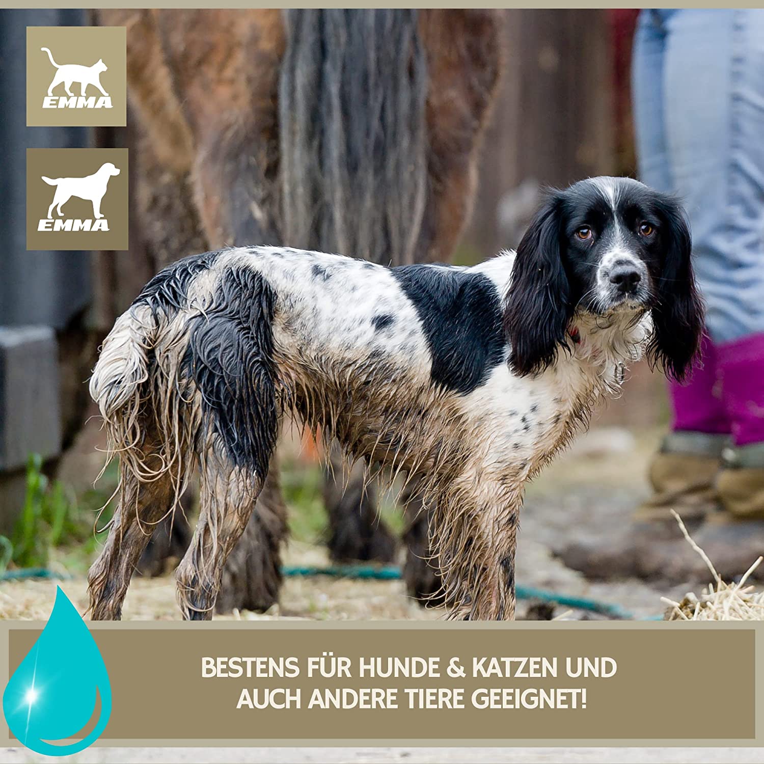 EMMA Pferde Leckerlies Hufbalsam Mähnenspray für Pferde EMMA Set 66 Leckerli Pferd Banane - Glitzerspray für Pferde - Pferdezubehör - Huffett Hufpflege Pferdepflege für Pferde Set 3tlg für Fell Mähne Schweif Hufe .jpg