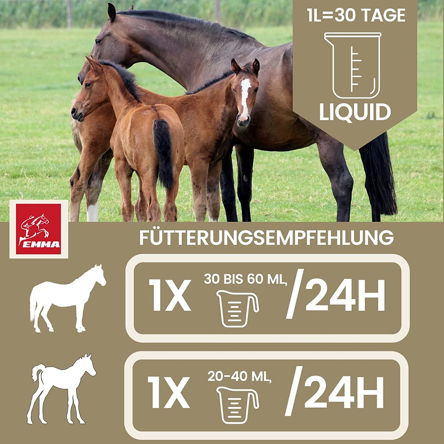 EMMA Gastro Liquid 12 Bierhefe Pferd Liquid 1L – Vitamin B für Pferde plus Biotin Folsäure Zink Selen für glänzendes Fell gesunde Haut für Verdauung Darmflora I mit Mineralien Spurenelemente für Stoffwechel bei Durchfall.jpg