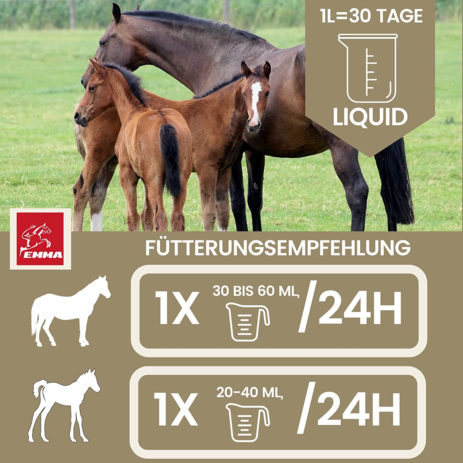 EMMA Gastro Liquid 12 Bierhefe Pferd Liquid 1L – Vitamin B für Pferde plus Biotin Folsäure Zink Selen für glänzendes Fell gesunde Haut für Verdauung Darmflora I mit Mineralien Spurenelemente für Stoffwechel bei Durchfall.jpg