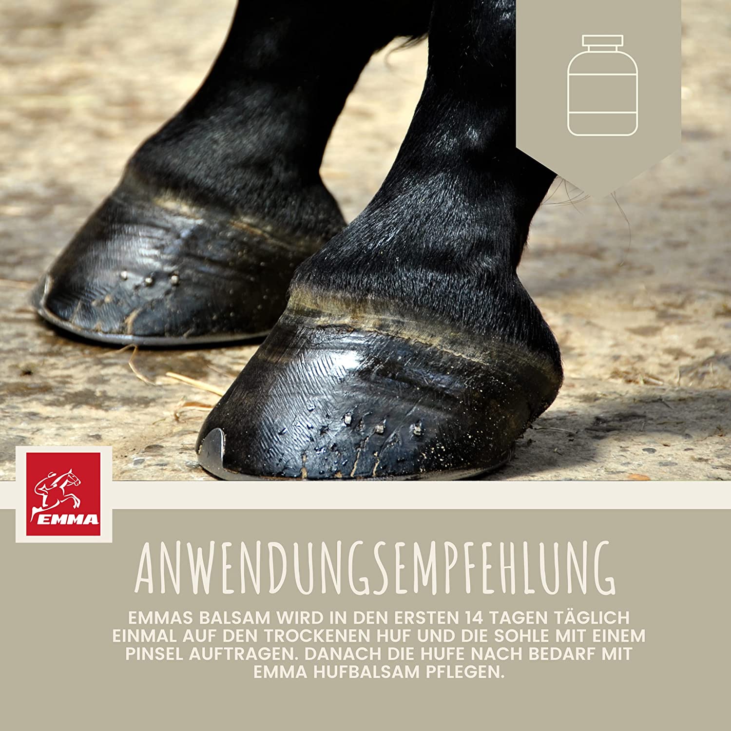 EMMA Mähnenspray für Pferde Schweifspray pink mit Duft für Pferd  Pony I Glitzer Huffet Hufgel pink  Duft I Inhalt Putzbox I Geschenke für Mädchen I Pferdepflegeset für Kinder 2 teilig